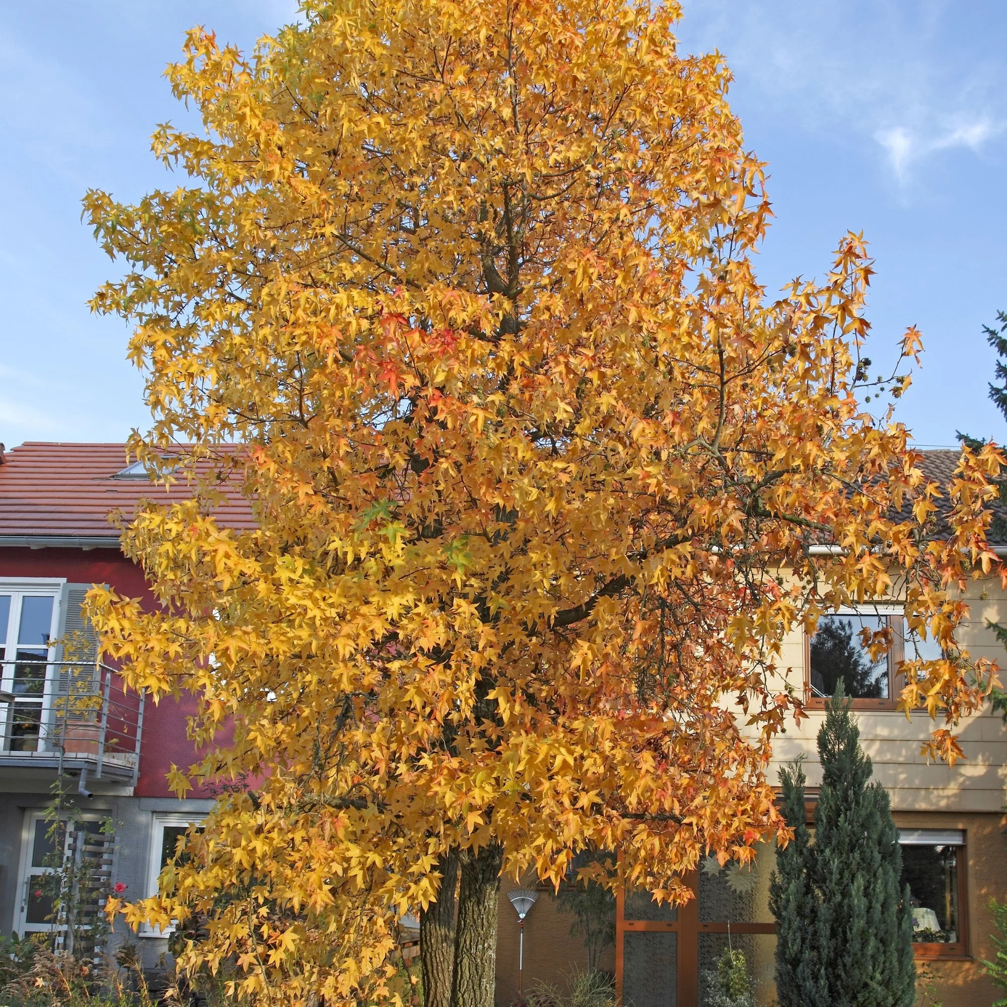 Vorschaubild 2