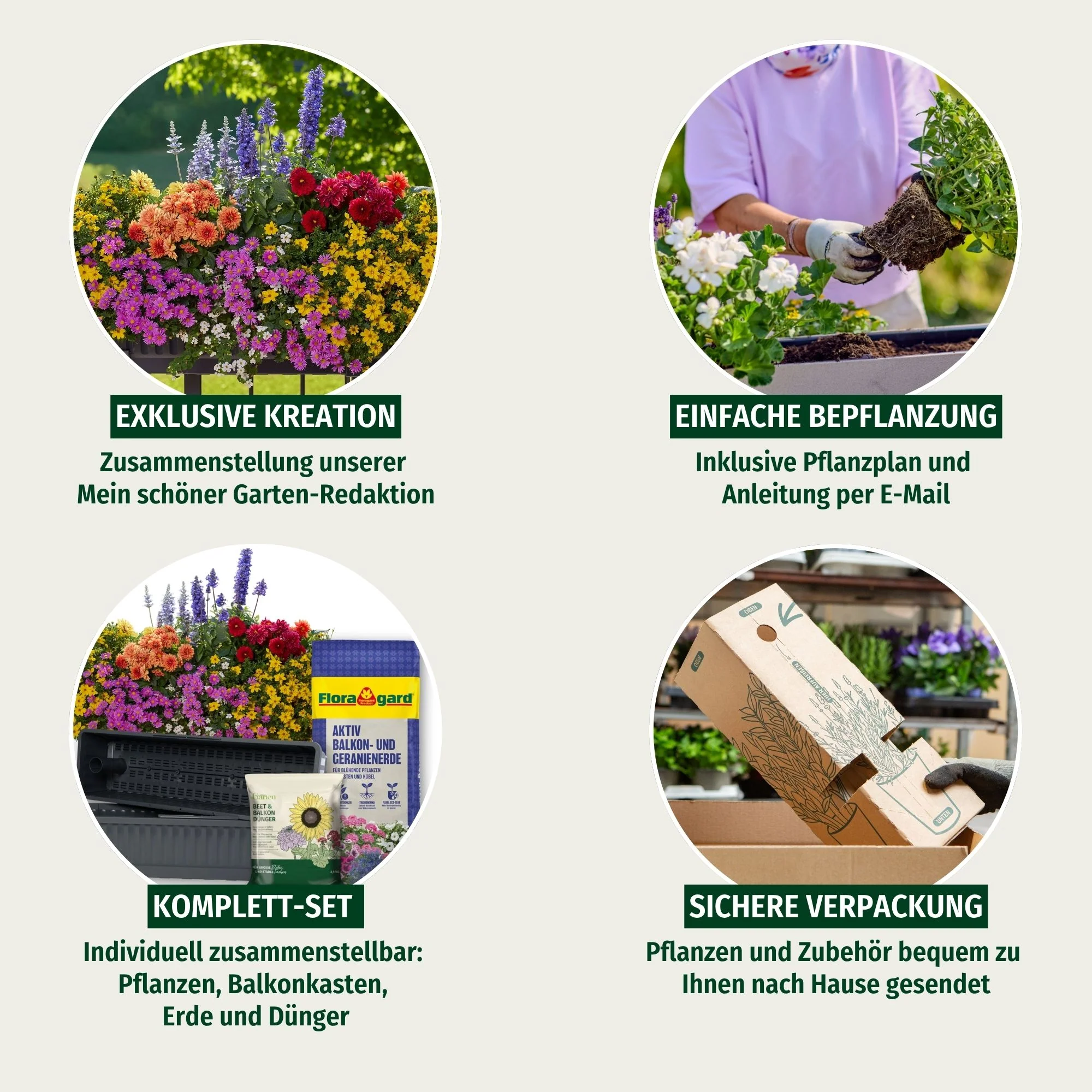 Balkonblumen "Farbenfroher Bienenmagnet" - Image 3