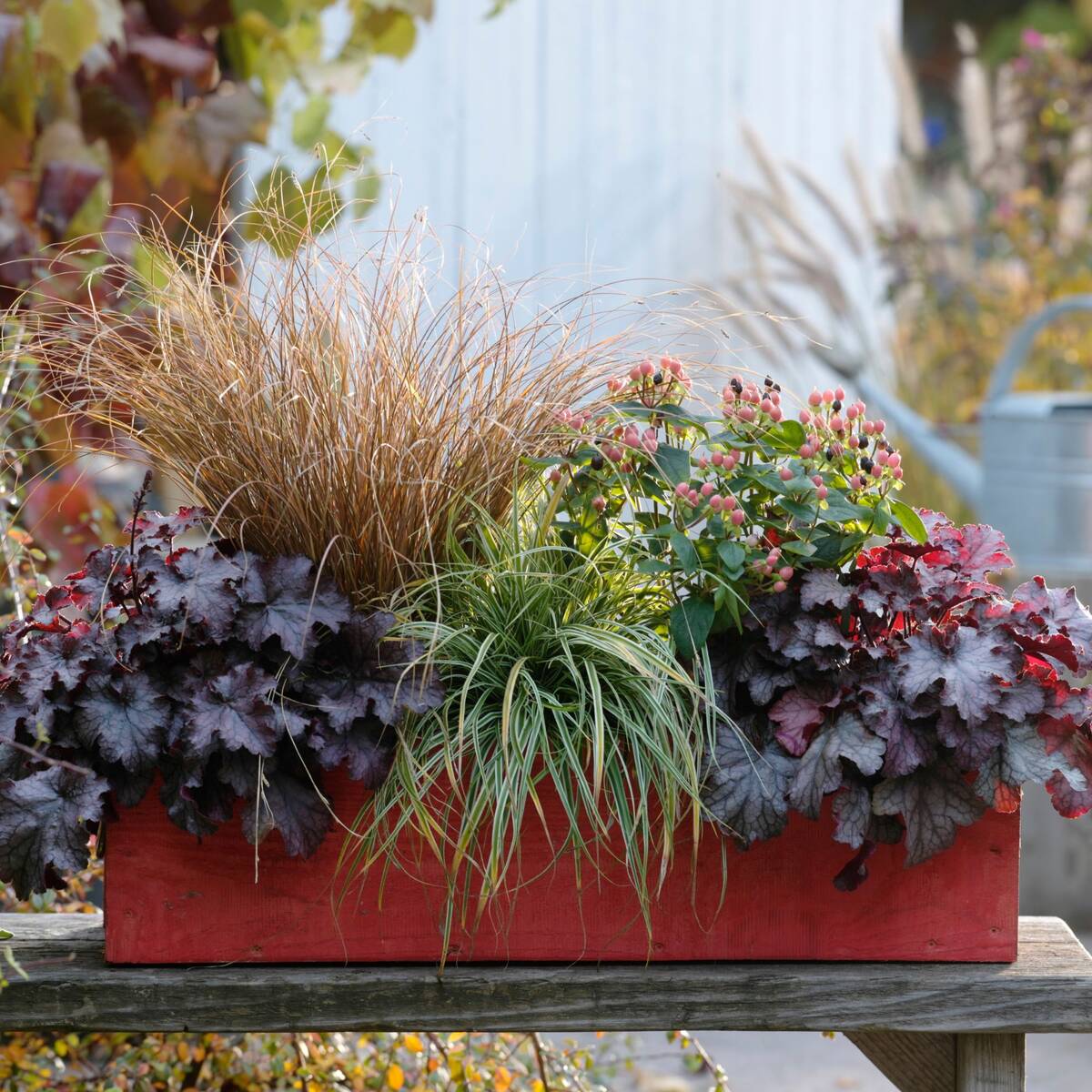 Balkonblumen "Herbstliches Blattspiel"