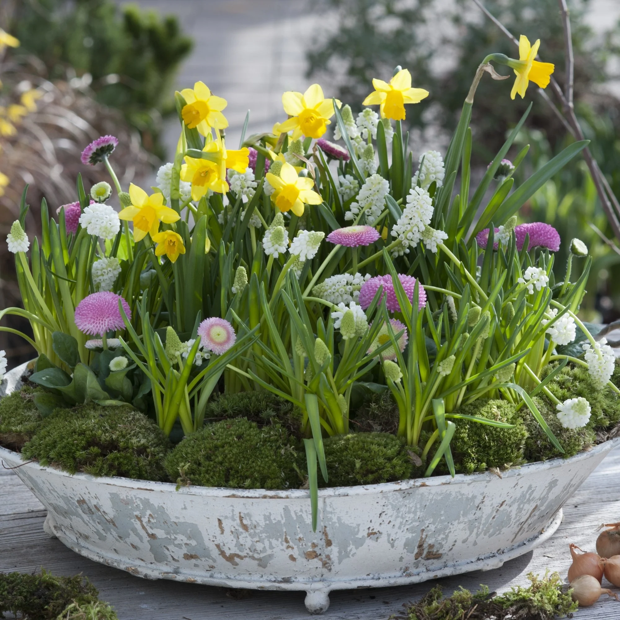Balkonblumen "Insektenparadies auf dem Balkon"