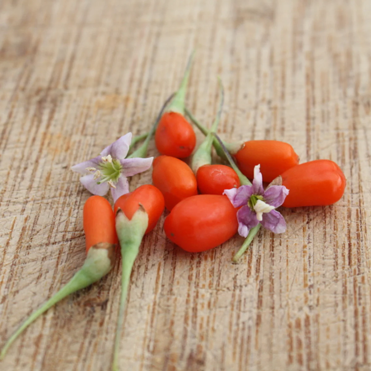 Bio Goji-Beere - Image 3