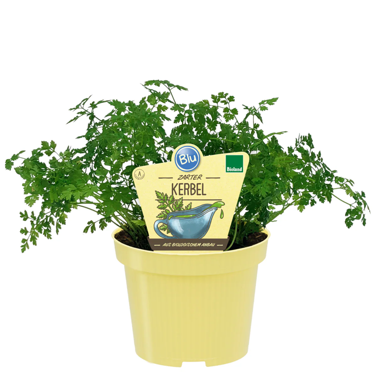 Bio Kerbel - Image 2
