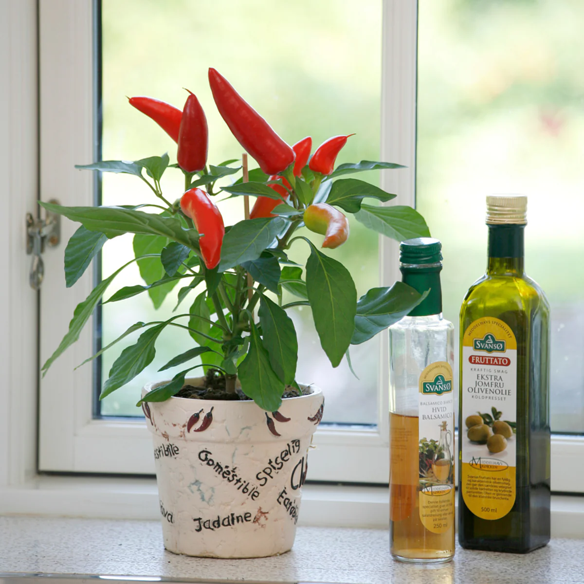 Bio Snack-Chili - Image 3