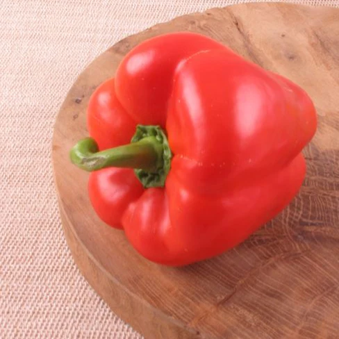 Blockpaprika 'Carisma' - Image 3