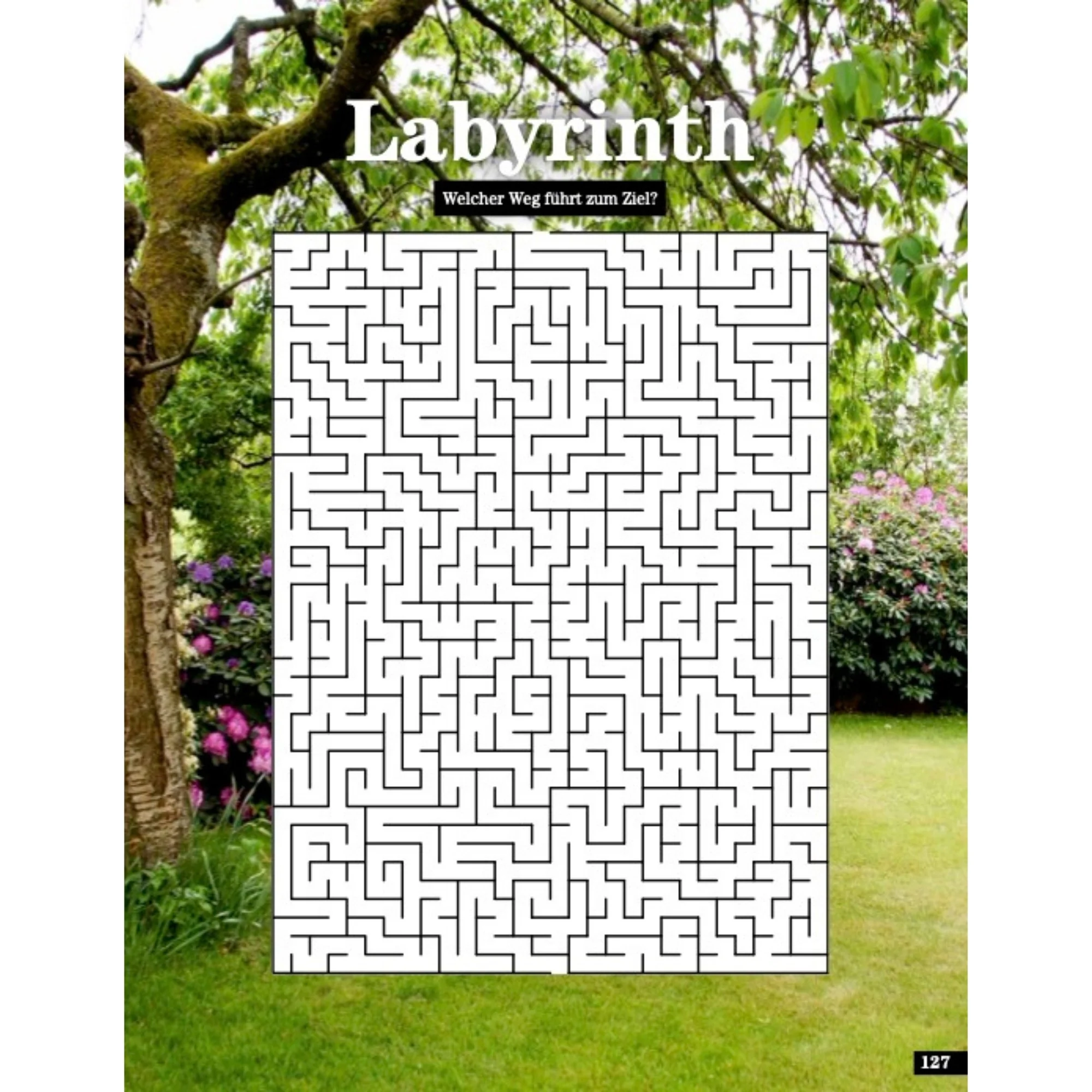 Das Garten Rätselbuch - Mit Profi-Tipps von Mein schöner Garten - Image 10