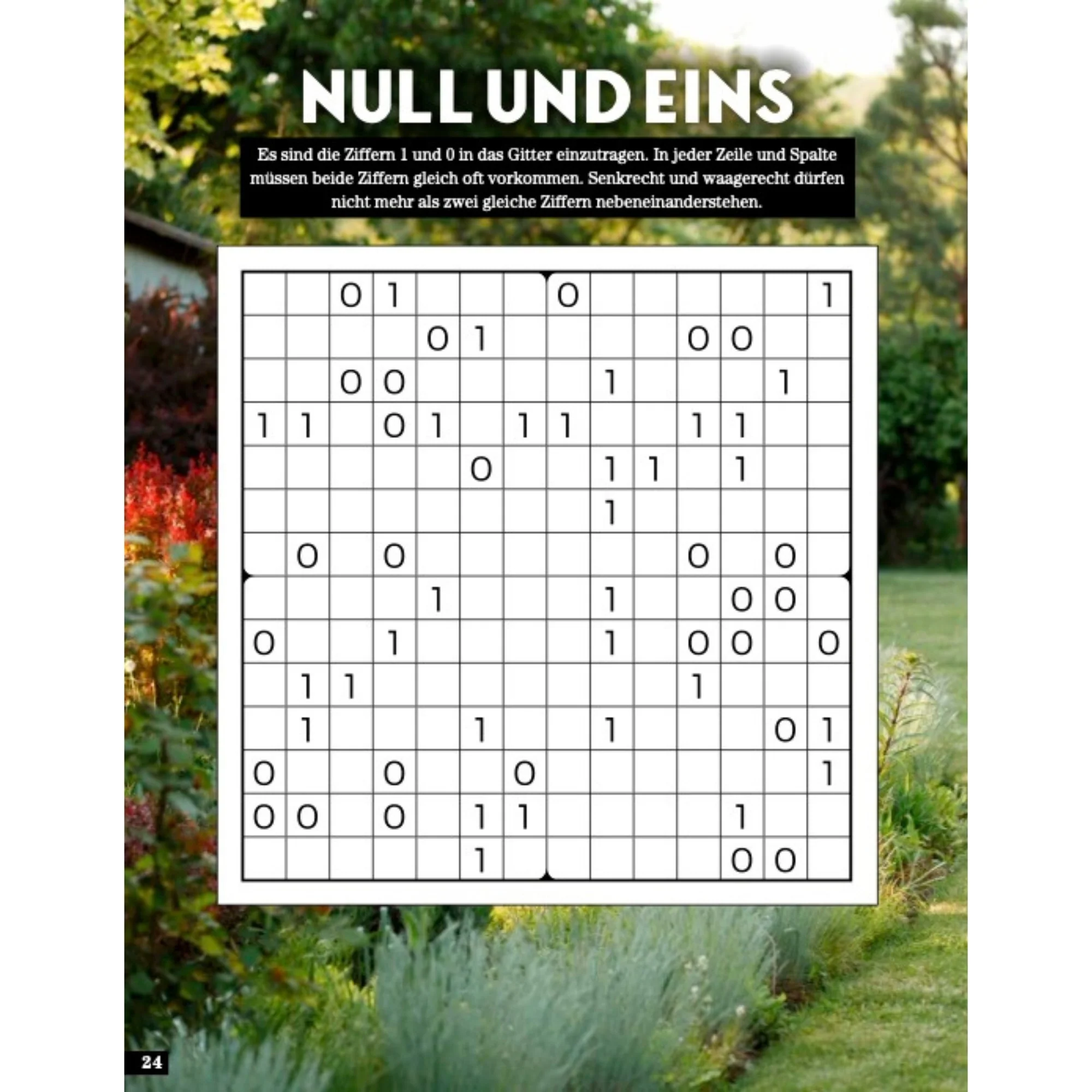 Vorschaubild 2