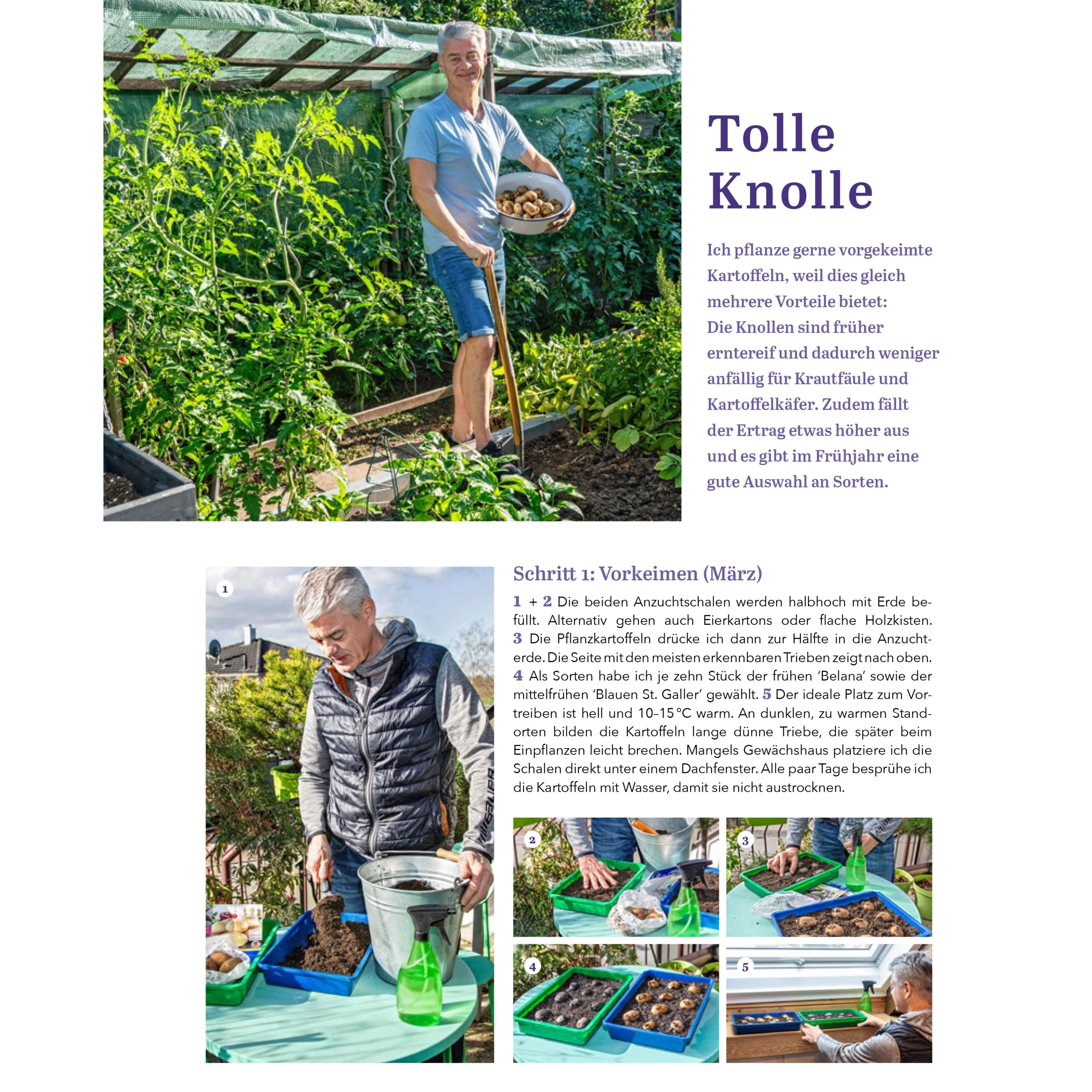 Das Ratgeberbuch 'Dein schöner Garten' - Image 10