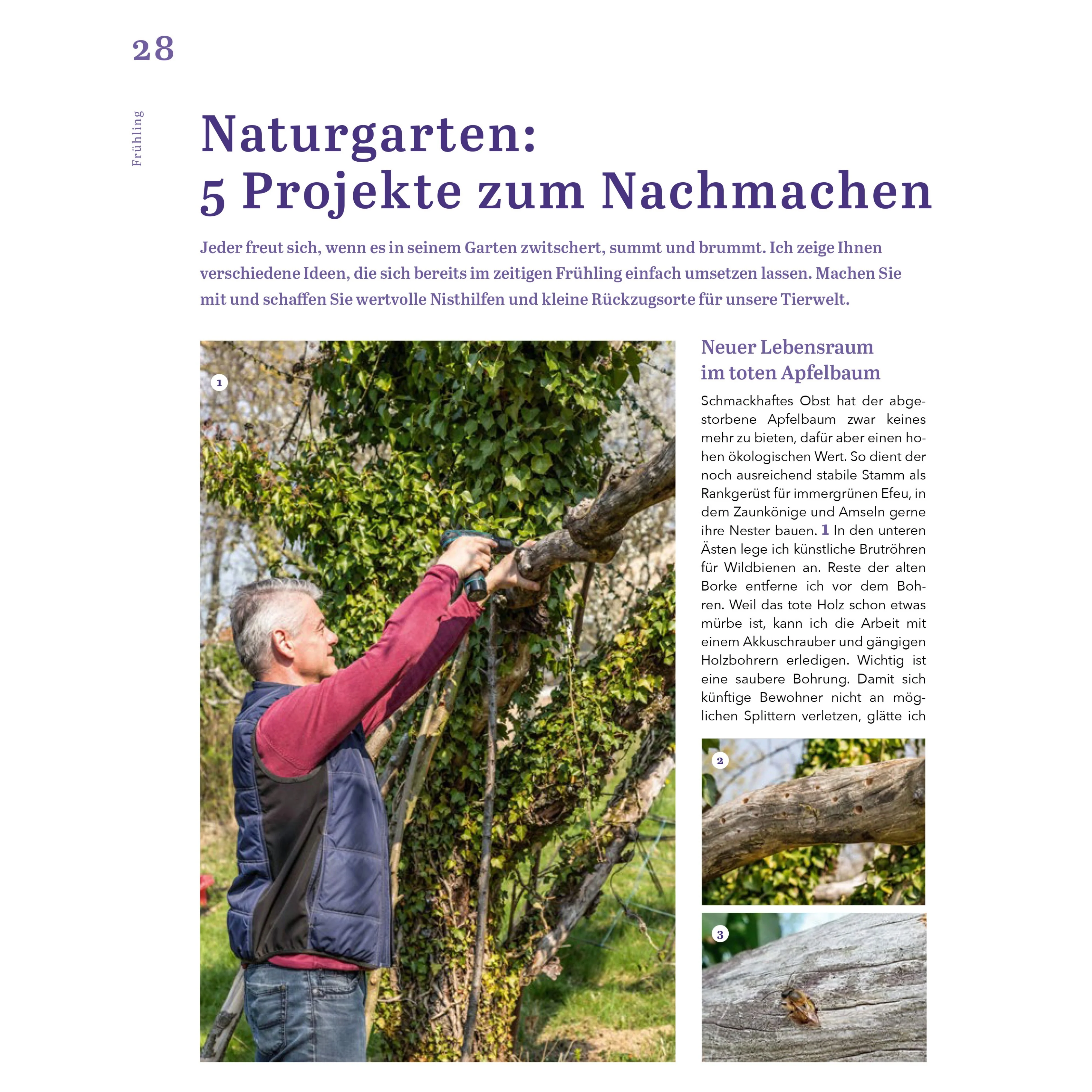Das Ratgeberbuch 'Dein schöner Garten' - Image 14