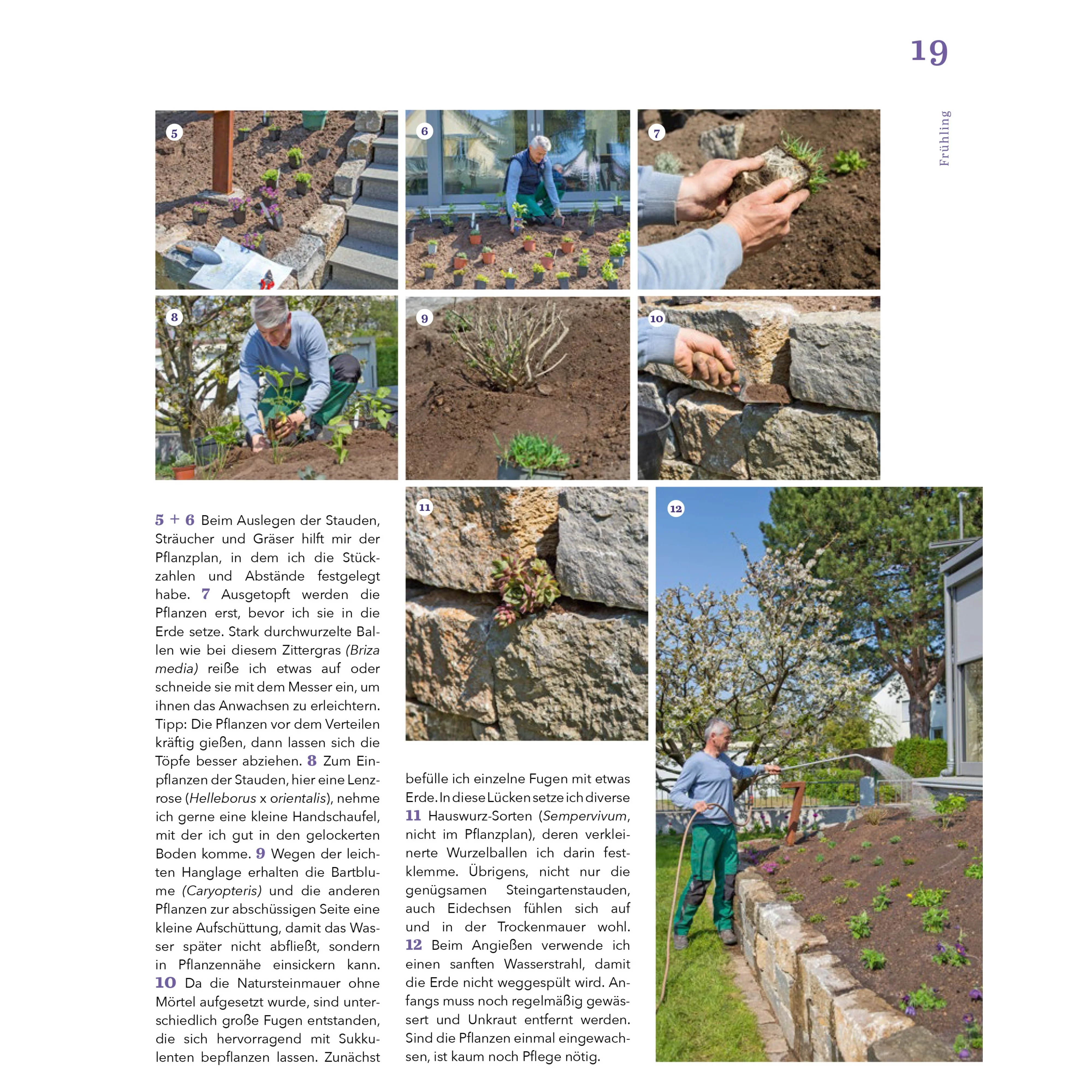 Das Ratgeberbuch 'Dein schöner Garten' - Image 9