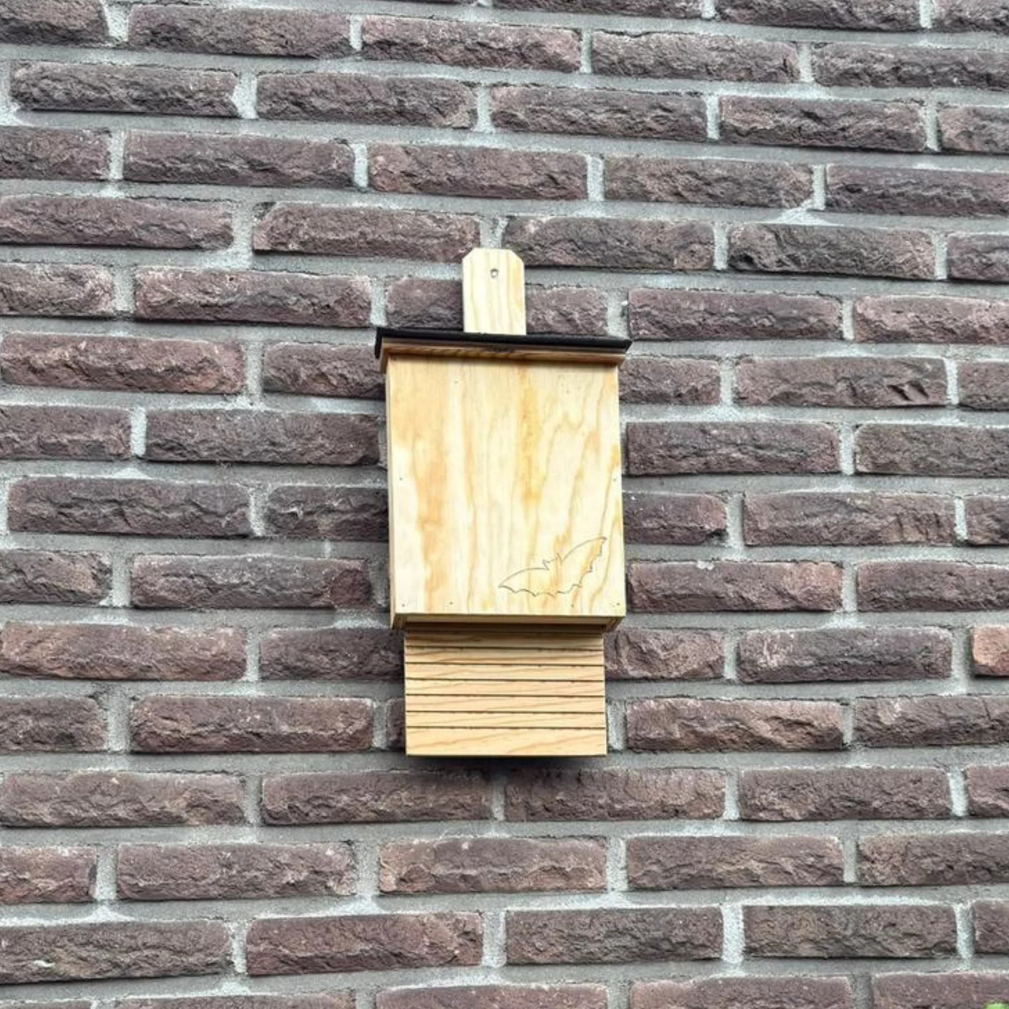 Fledermauskasten - Image 3