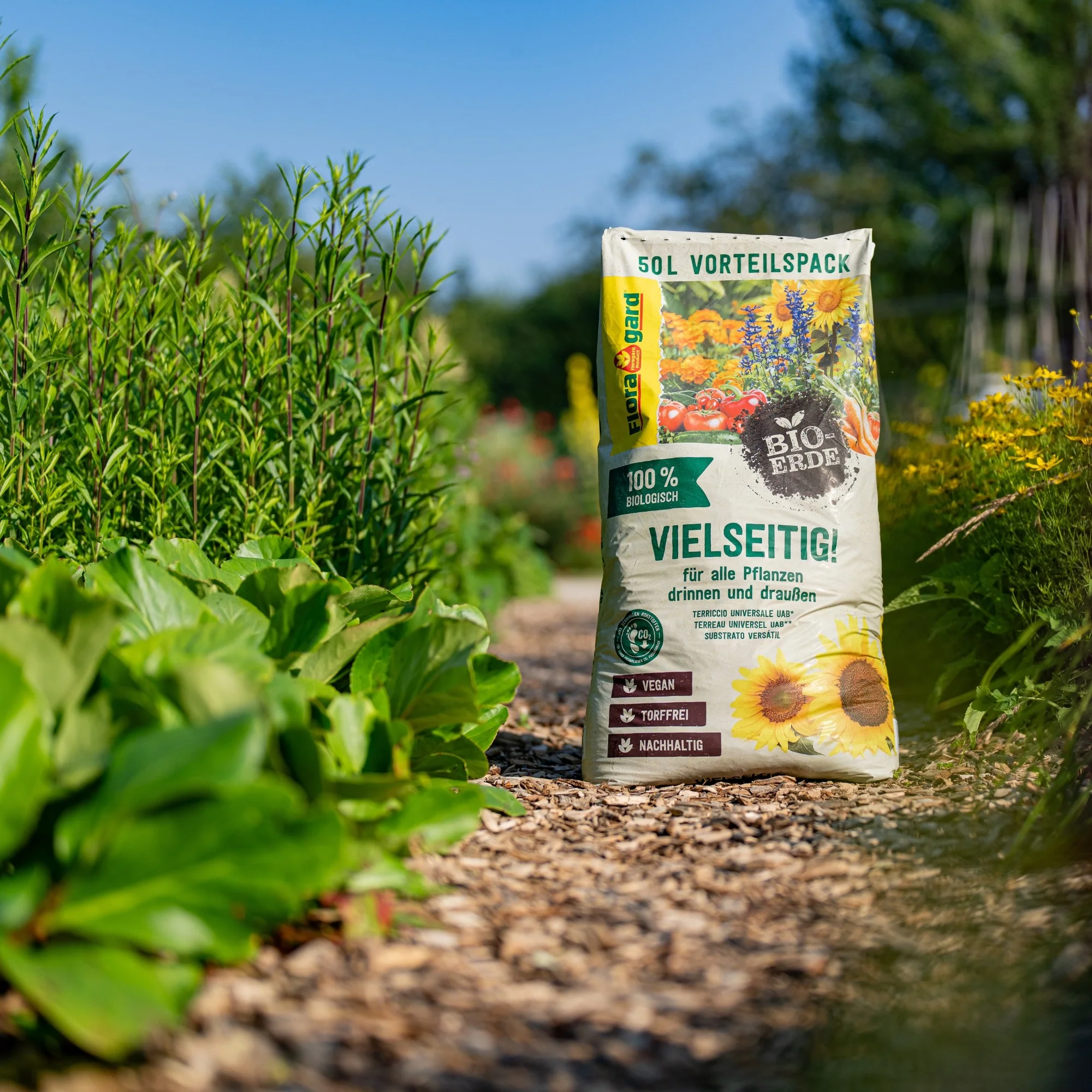 Floragard Bio-Erde Vielseitig, torffrei - Image 3