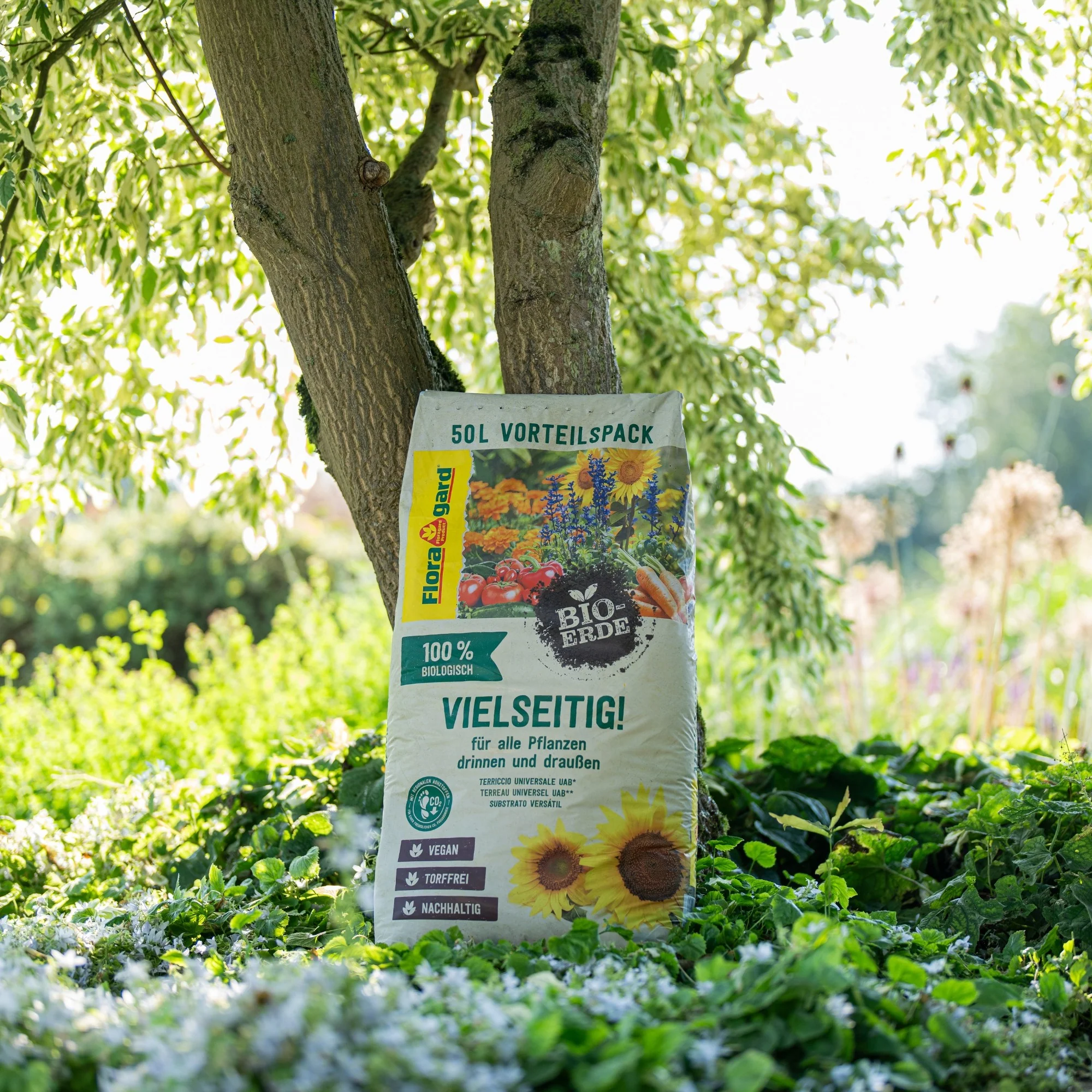 Floragard Bio-Erde Vielseitig, torffrei - Image 4