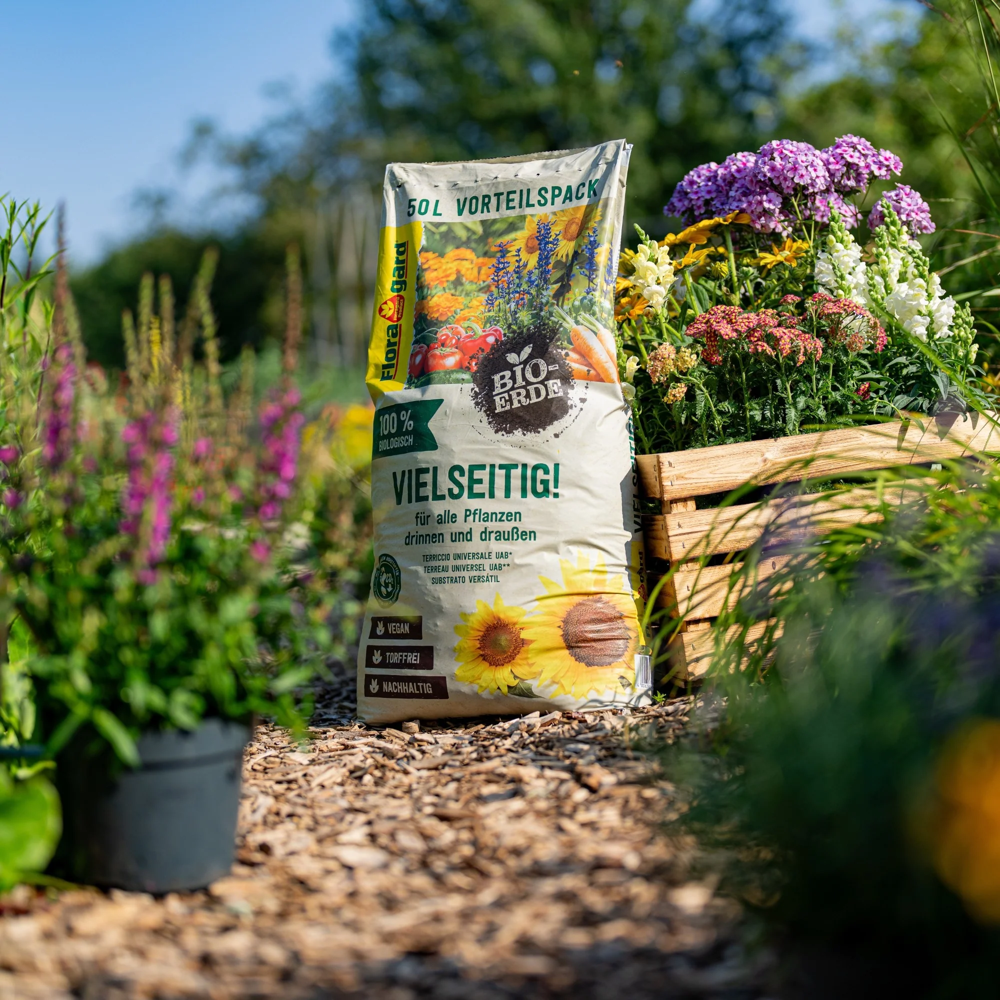Floragard Bio-Erde Vielseitig, torffrei - Image 5
