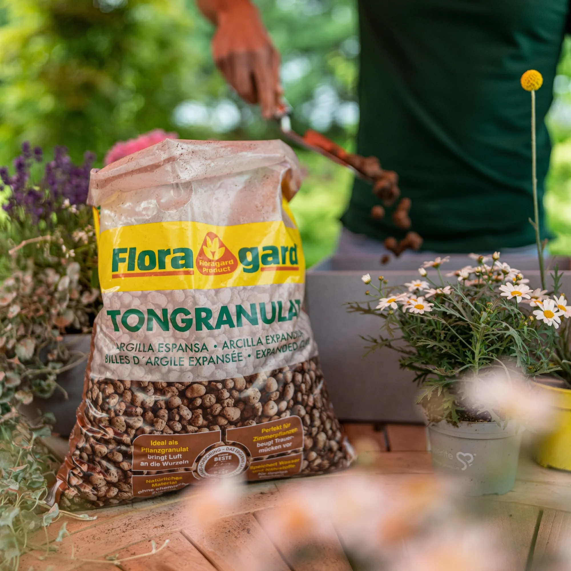 Floragard Tongranulat