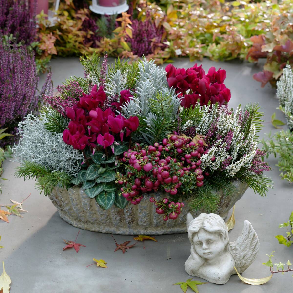 Grabbepflanzung "Rötlicher Herbst"