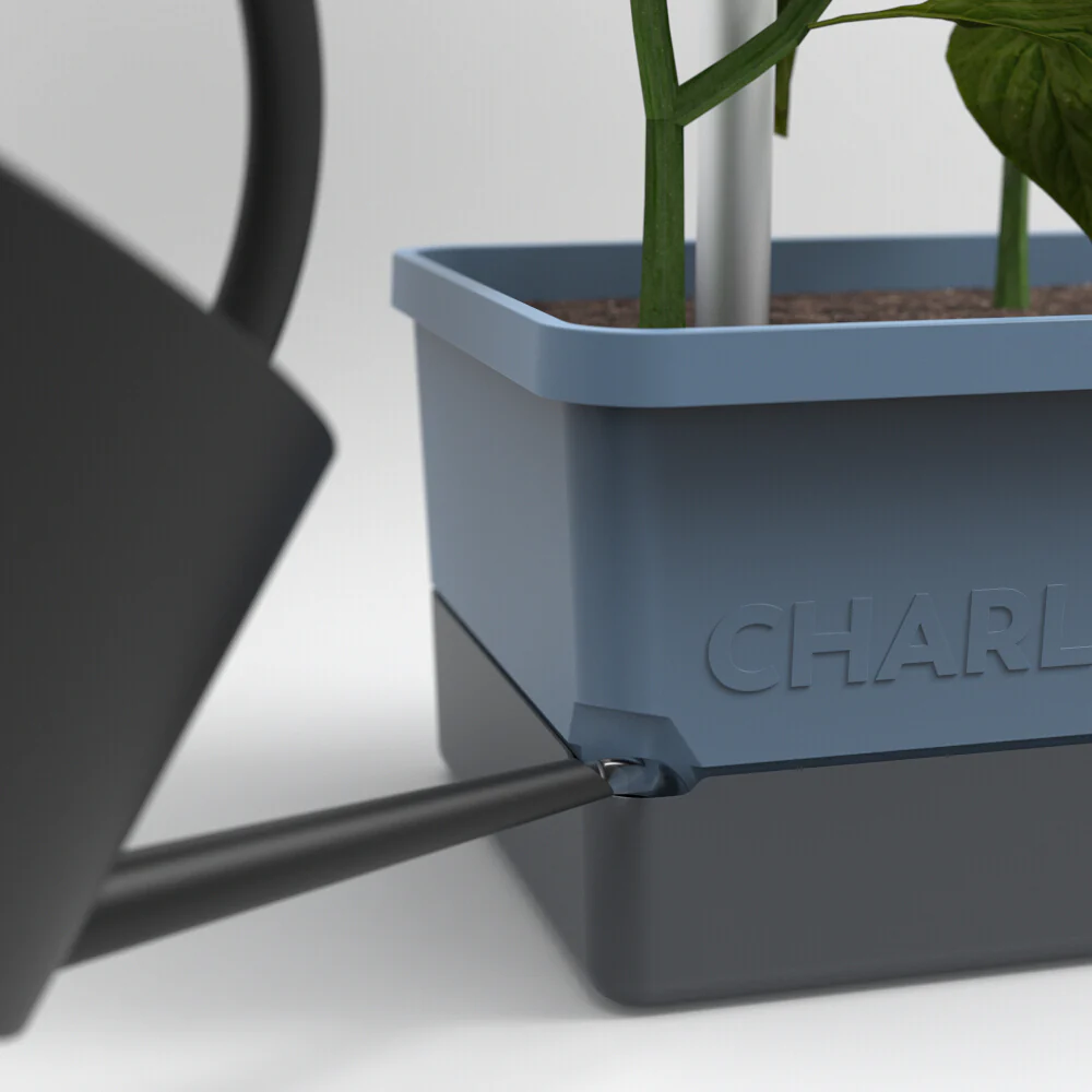 Gusta Garden CHARLY CHILI - Image 30
