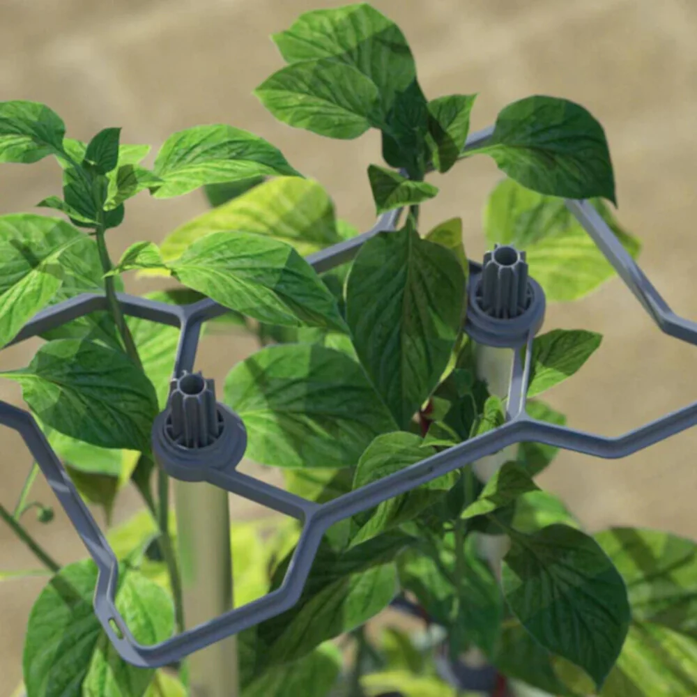 Gusta Garden CHARLY CHILI - Image 35