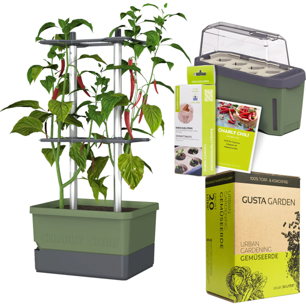 Gusta Garden Chili Starter-Set - Image 3