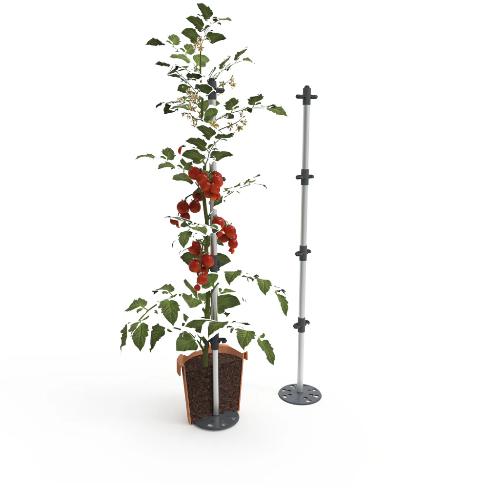 Gusta Garden Rankhilfe TOMATO BUDDY - Image 3