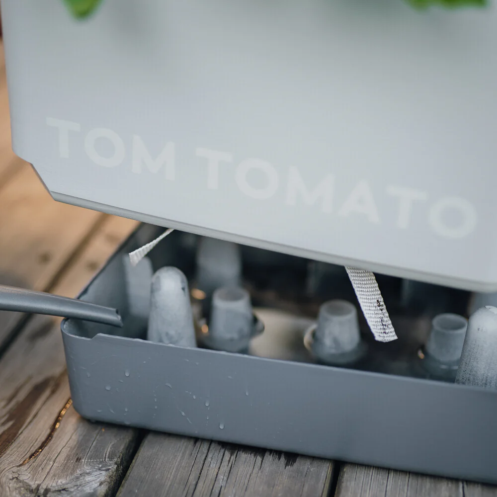 Gusta Garden TOM TOMATO - Image 4