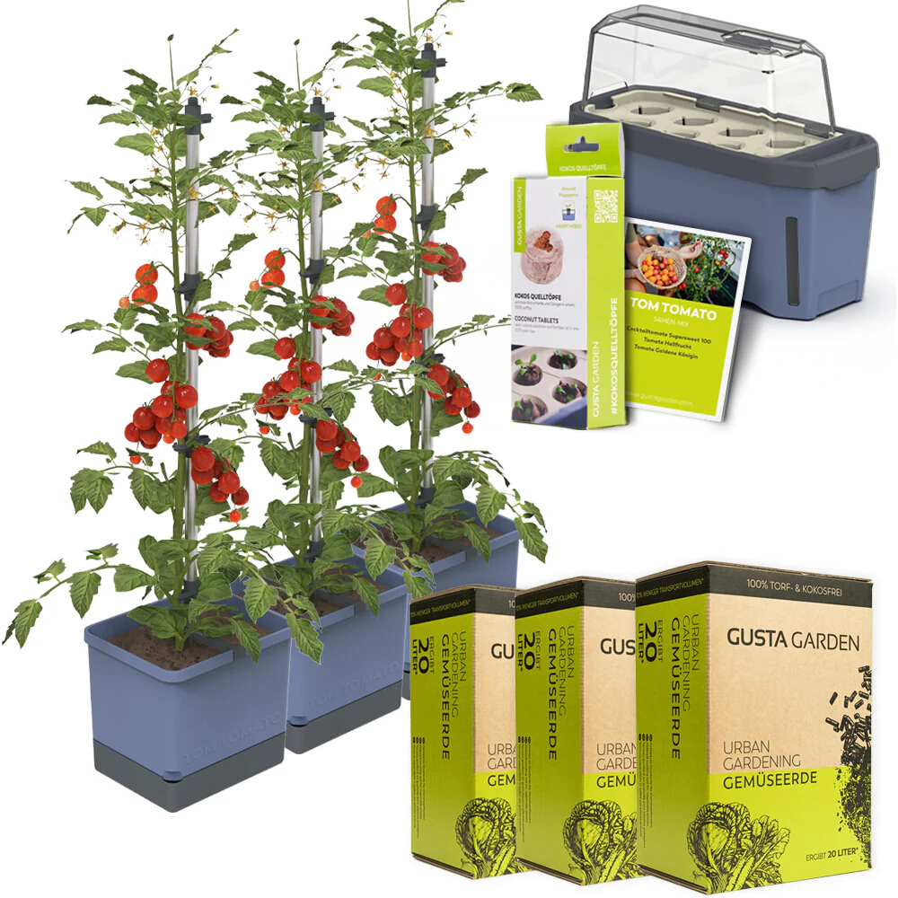 Gusta Garden Tomaten Starter-Set - Image 3