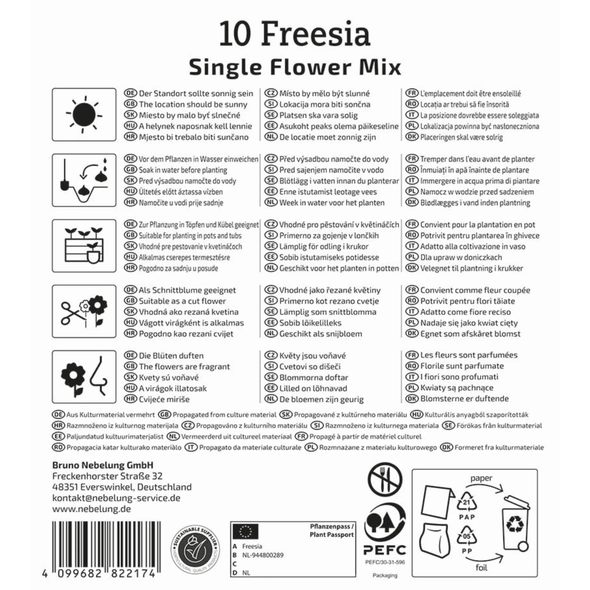 Kiepenkerl Freesien Mischung, 10 Zwiebeln - Image 2