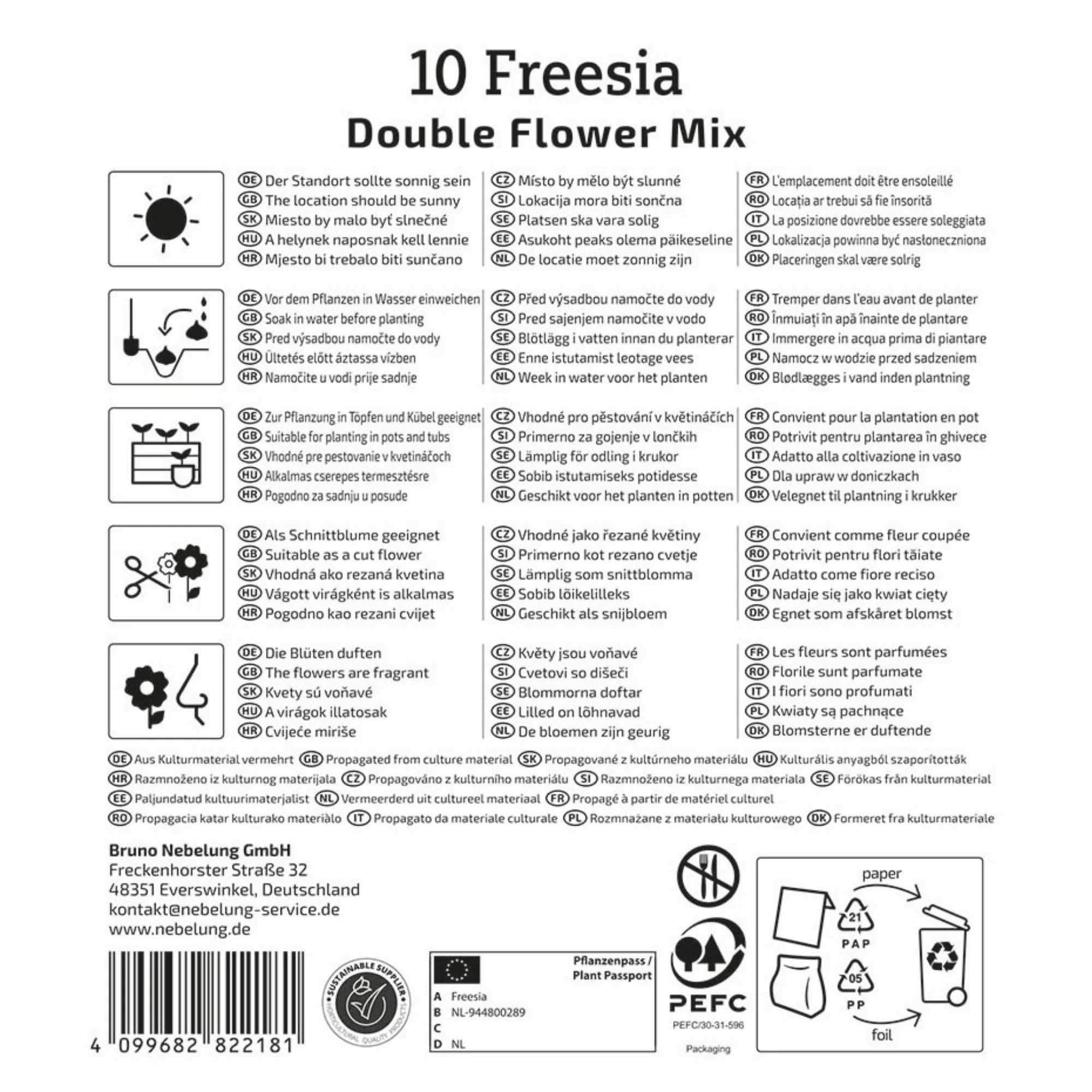 Kiepenkerl Freesien Mischung gefüllte Blüten, 10 Zwiebeln - Image 2