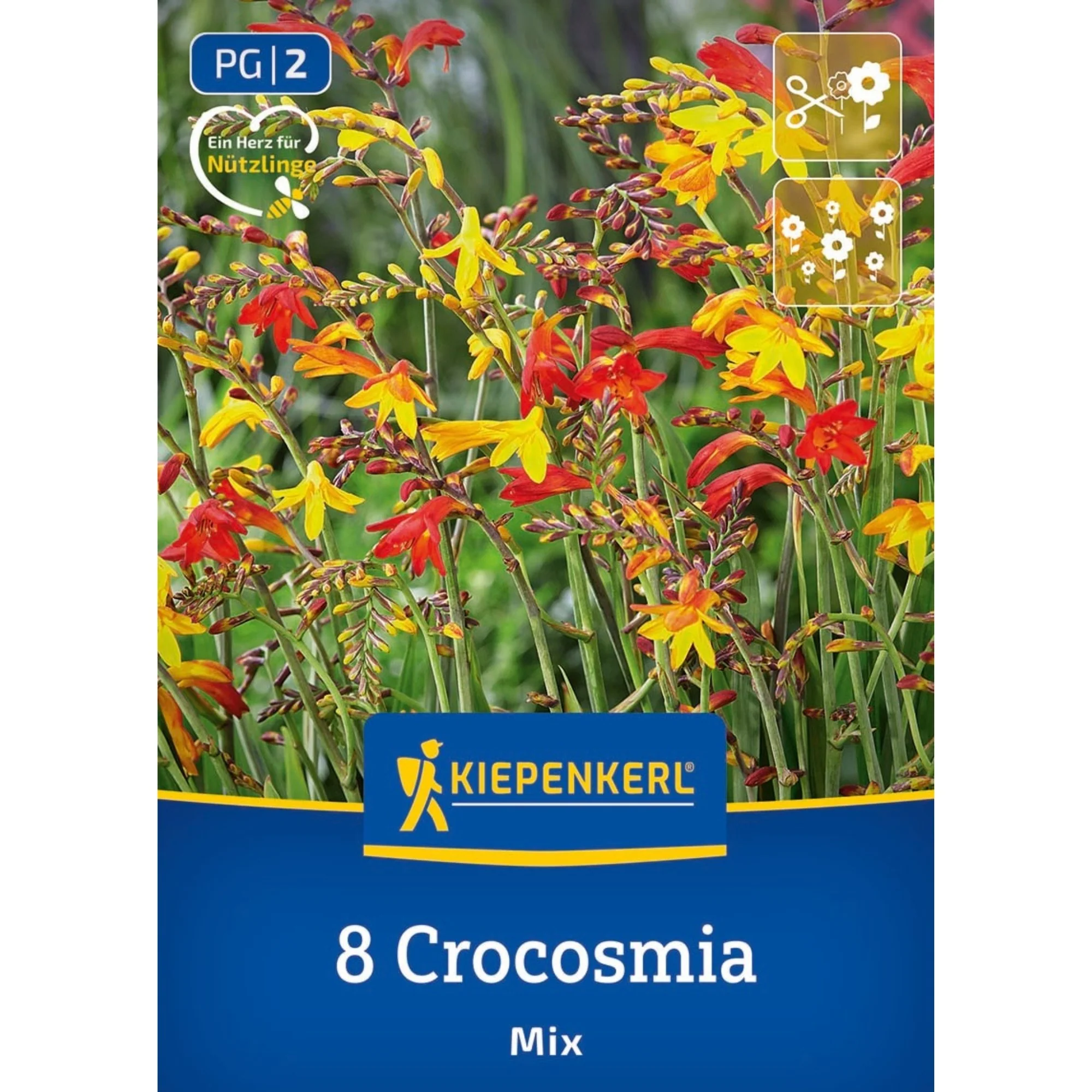 Kiepenkerl Kleinblumige Crocosmia Mischung, 8 Zwiebeln