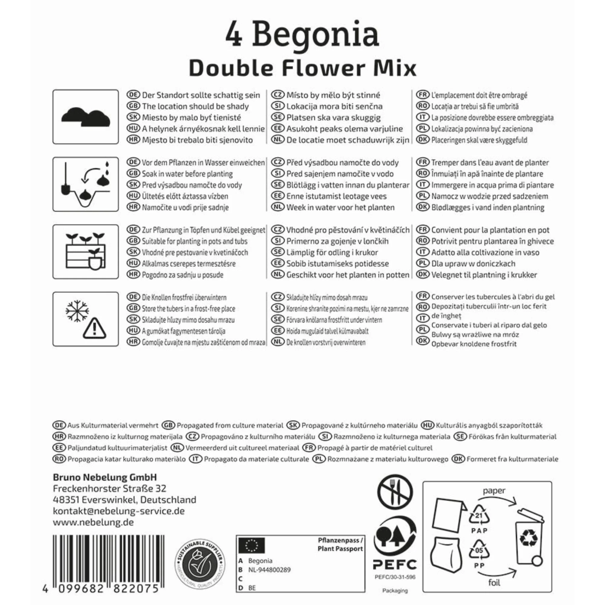Kiepenkerl Knollenbegonie 'Gefüllte Mischung', 4 Zwiebeln - Image 2