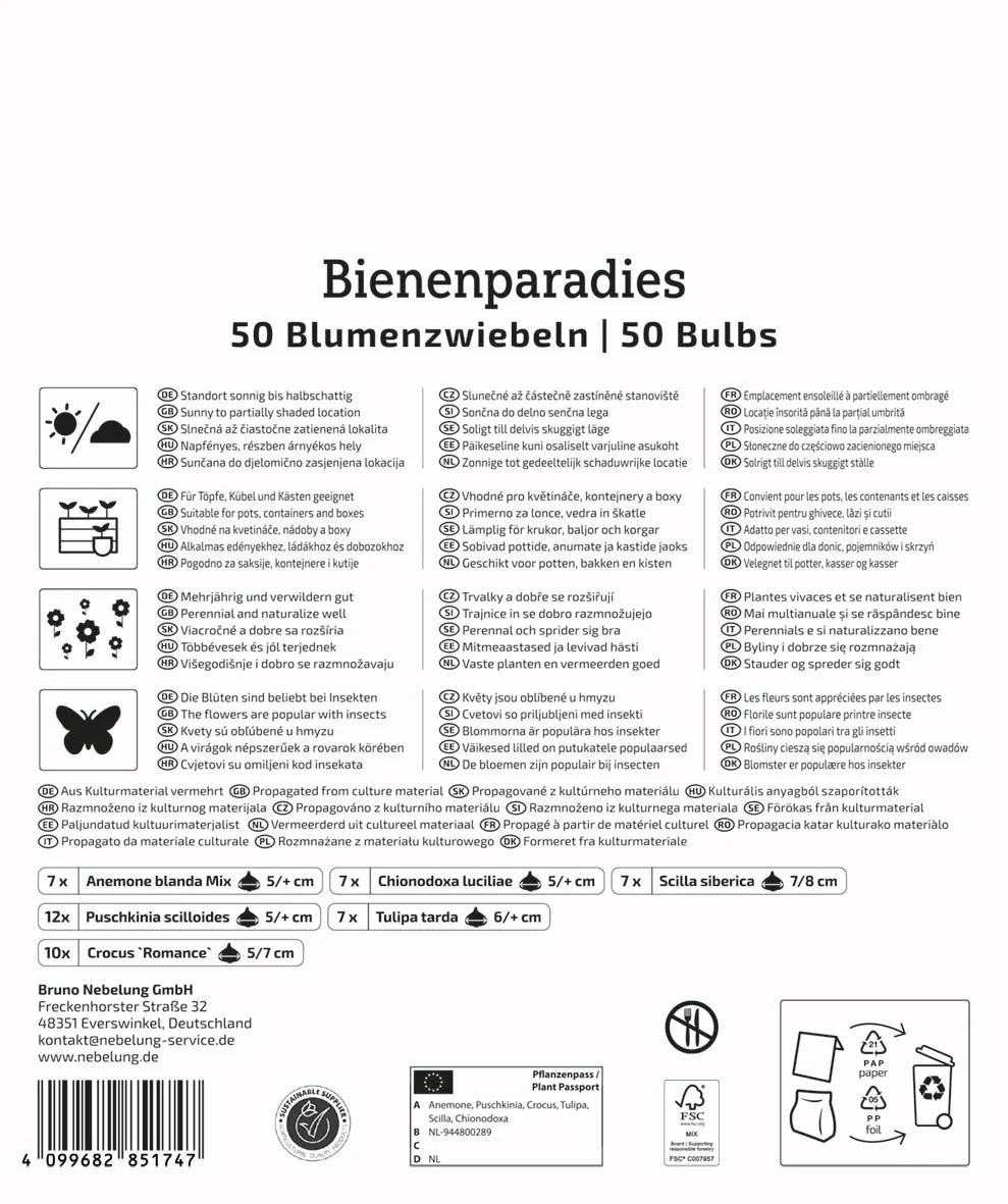 Kiepenkerl Mega Pack 'Bienenparadies', 50 Zwiebeln - Image 2