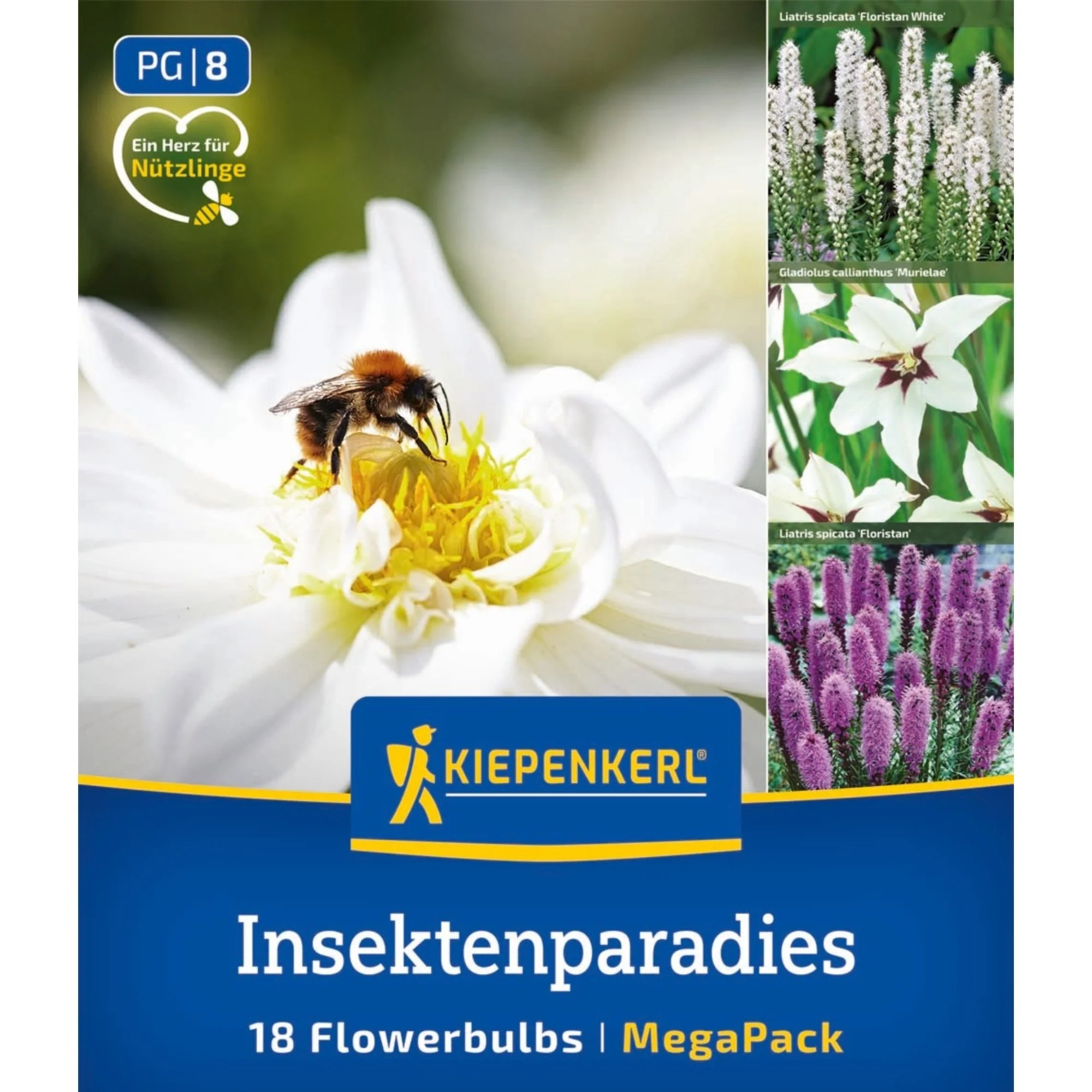 Kiepenkerl Mega-Pack Blumenzwiebelmischung 'Insektenparadies', 18 Zwiebeln