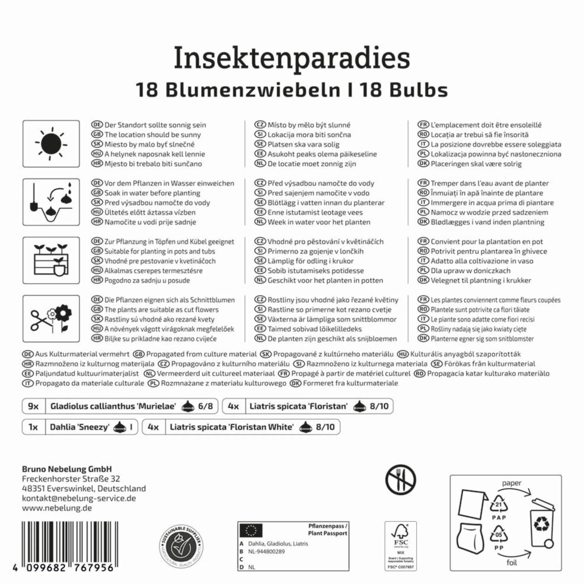 Kiepenkerl Mega-Pack Blumenzwiebelmischung 'Insektenparadies', 18 Zwiebeln - Image 2