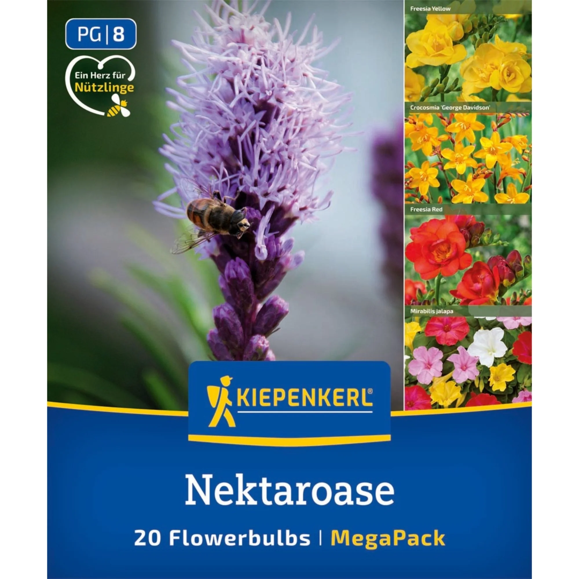 Kiepenkerl Mega-Pack Blumenzwiebelmischung 'Nektaroase', 20 Zwiebeln