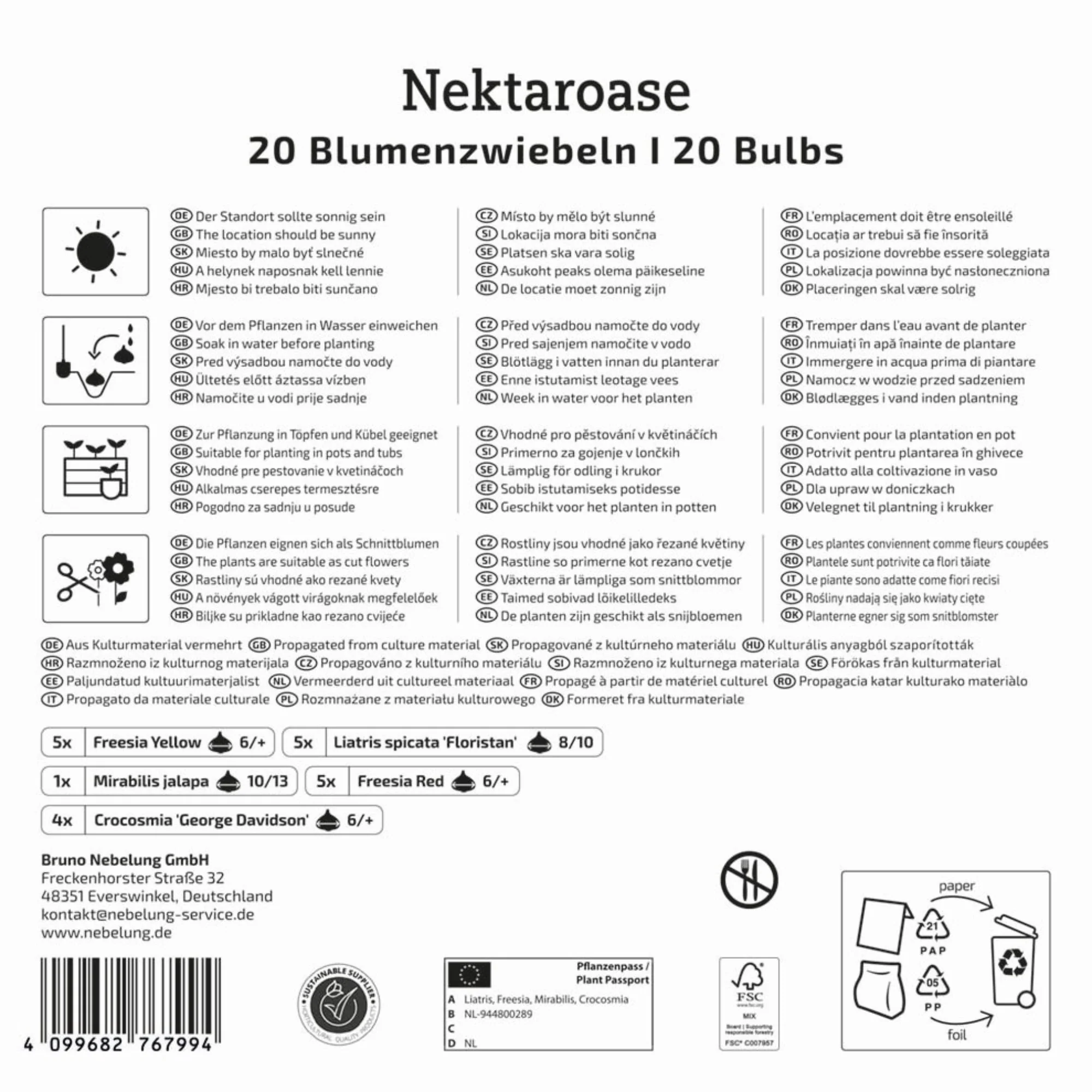 Kiepenkerl Mega-Pack Blumenzwiebelmischung 'Nektaroase', 20 Zwiebeln - Image 2