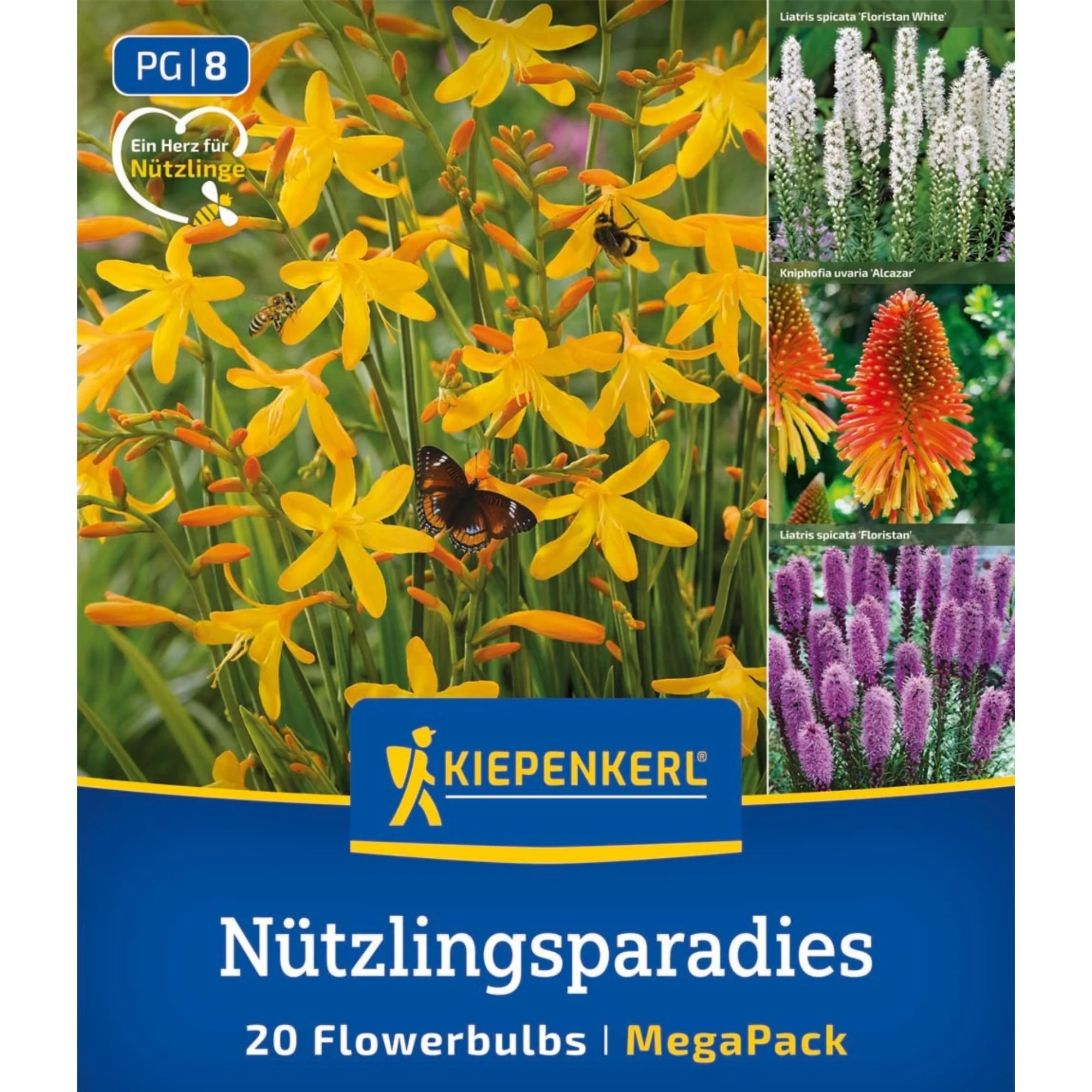 Kiepenkerl Mega-Pack Blumenzwiebelmischung 'Nützlingsparadies', 20 Zwiebeln