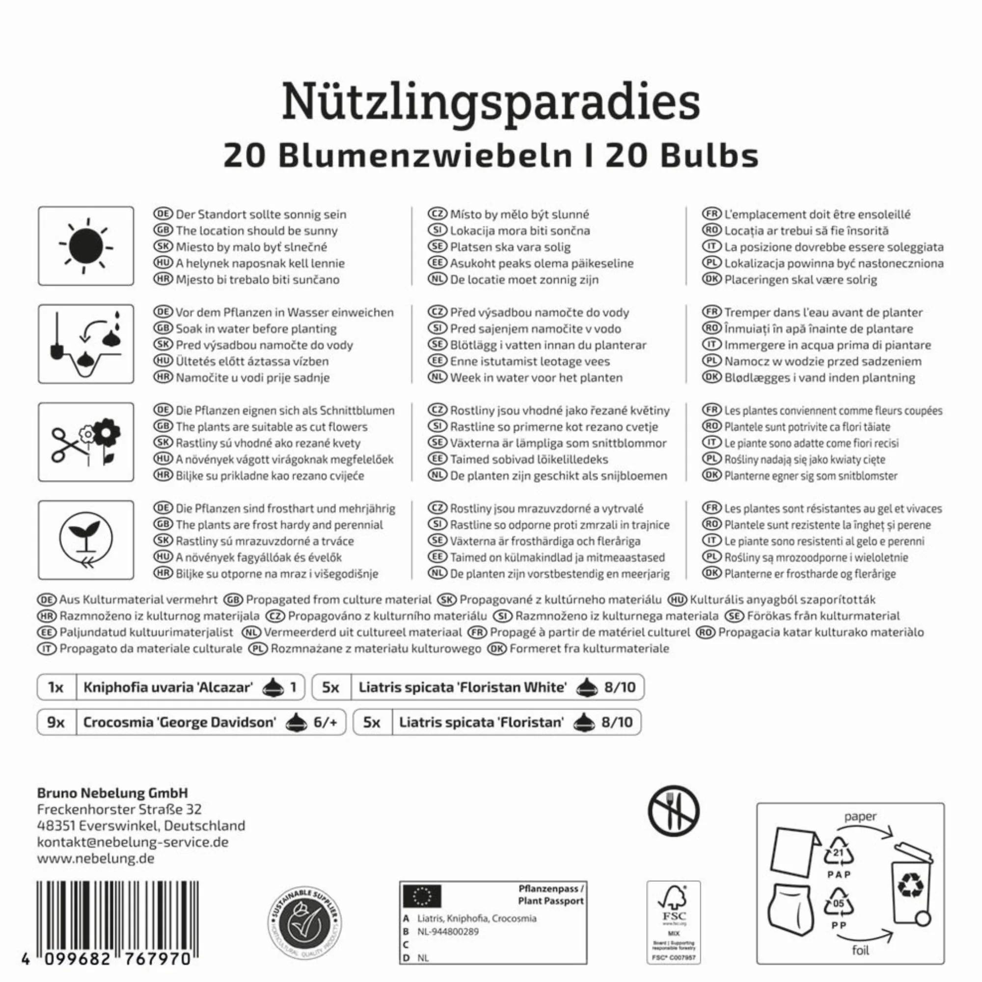 Kiepenkerl Mega-Pack Blumenzwiebelmischung 'Nützlingsparadies', 20 Zwiebeln - Image 2