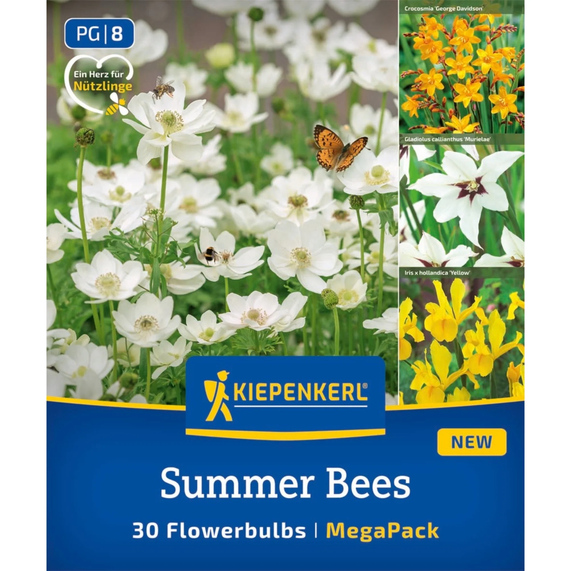 Kiepenkerl Mega-Pack Blumenzwiebelmischung 'Summer Bees', 30 Zwiebeln