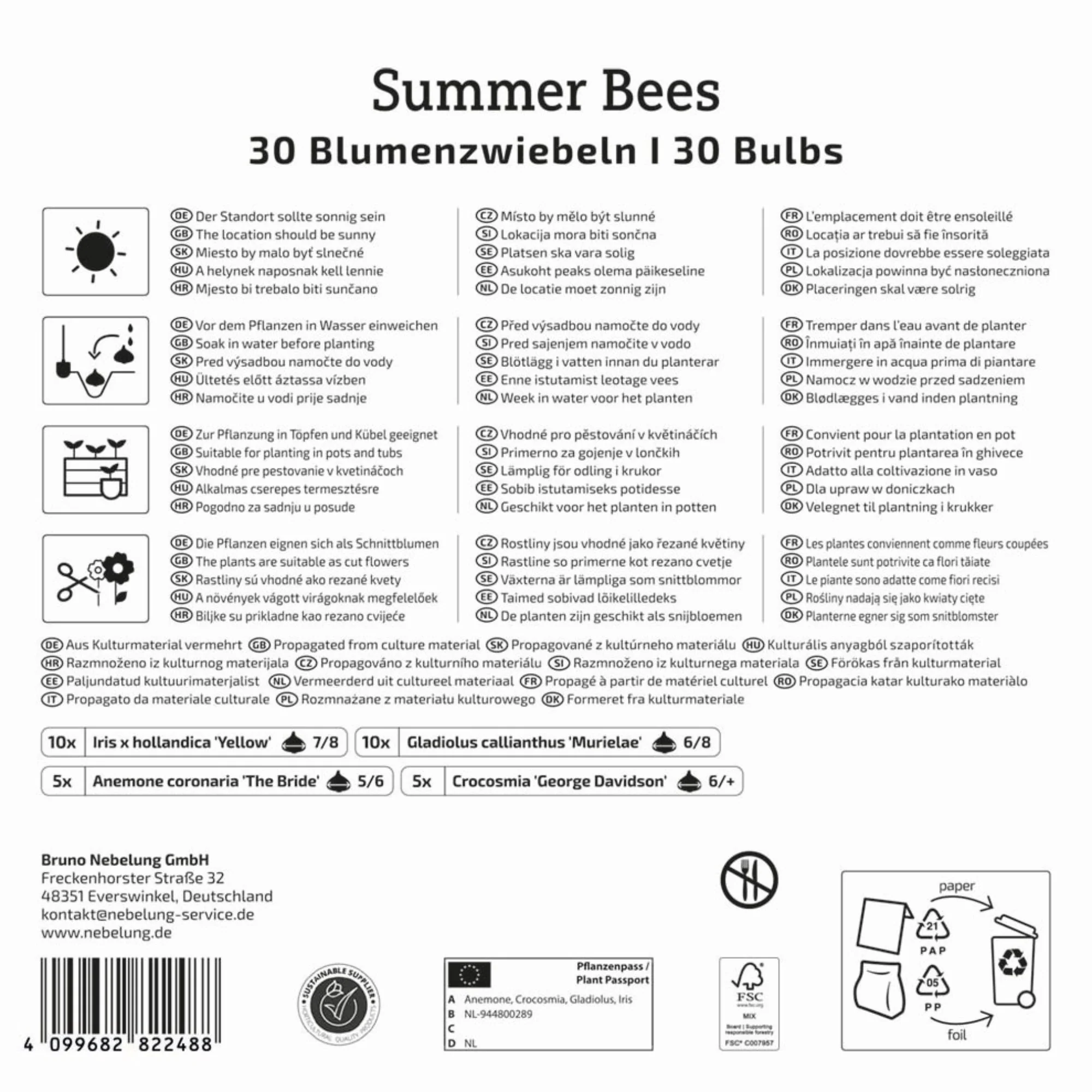 Kiepenkerl Mega-Pack Blumenzwiebelmischung 'Summer Bees', 30 Zwiebeln - Image 2
