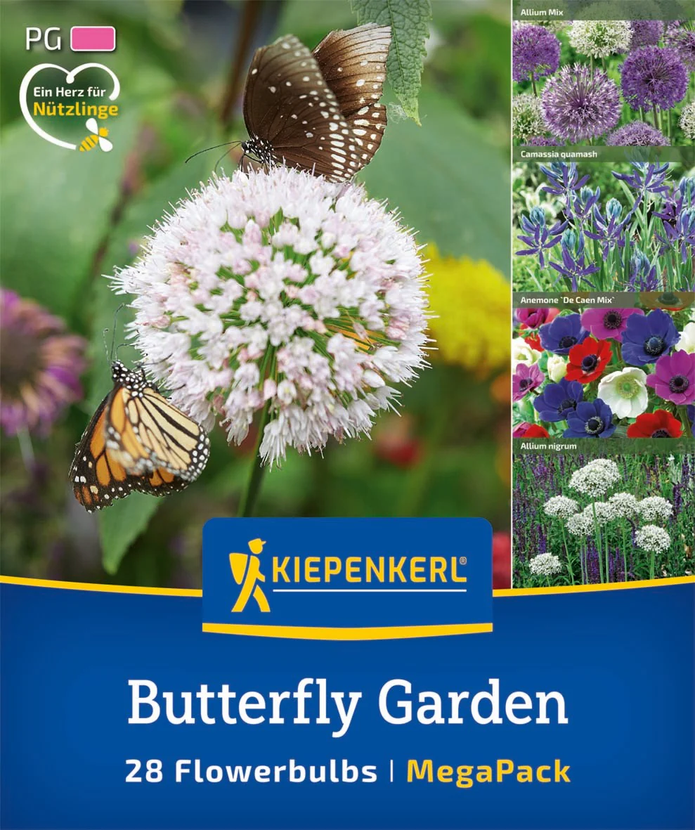 Kiepenkerl Mega Pack 'Butterfly Garden', 28 Zwiebeln