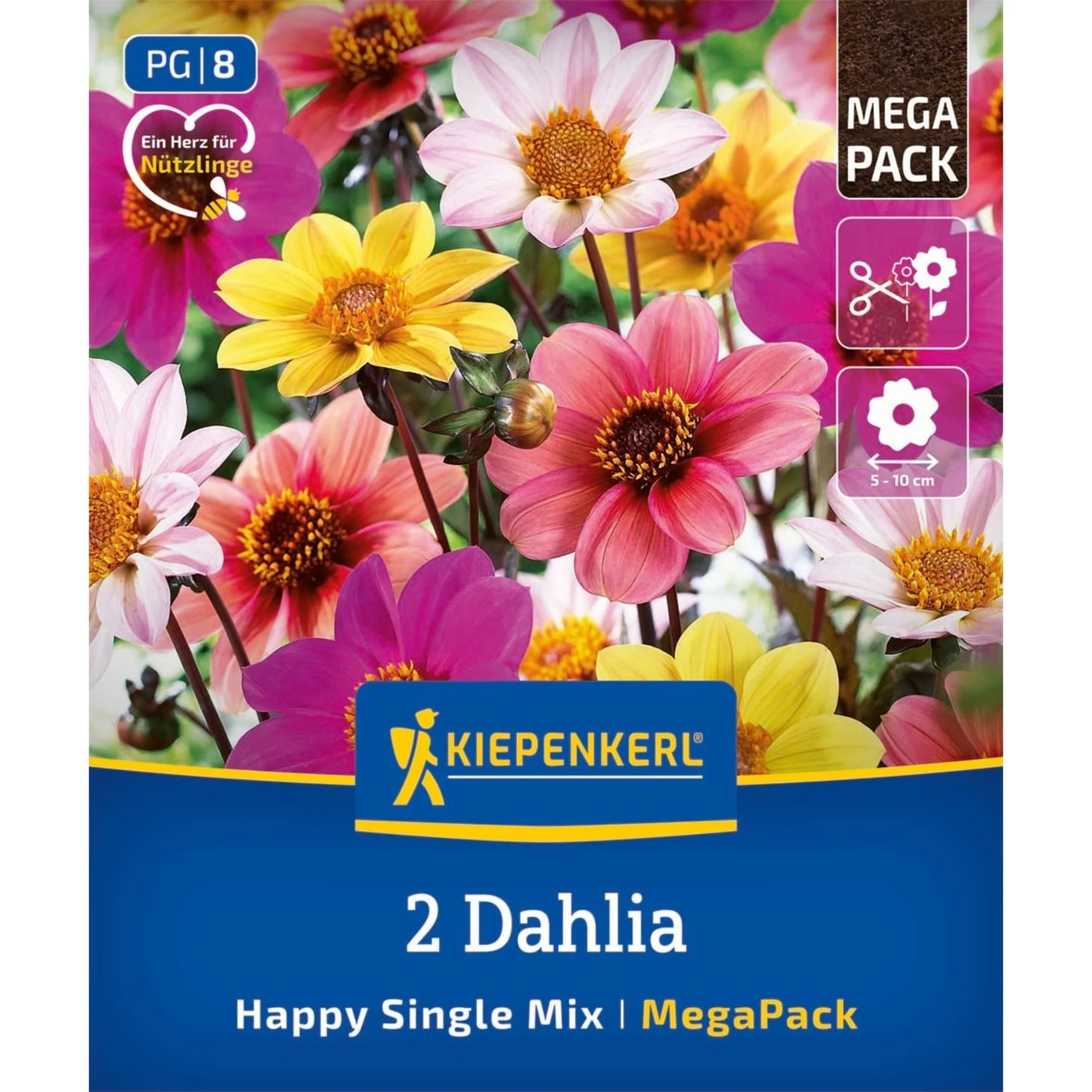 Kiepenkerl Mega-Pack Dunkellaubige Dahlien 'Happy Single Mix', 2 Zwiebeln