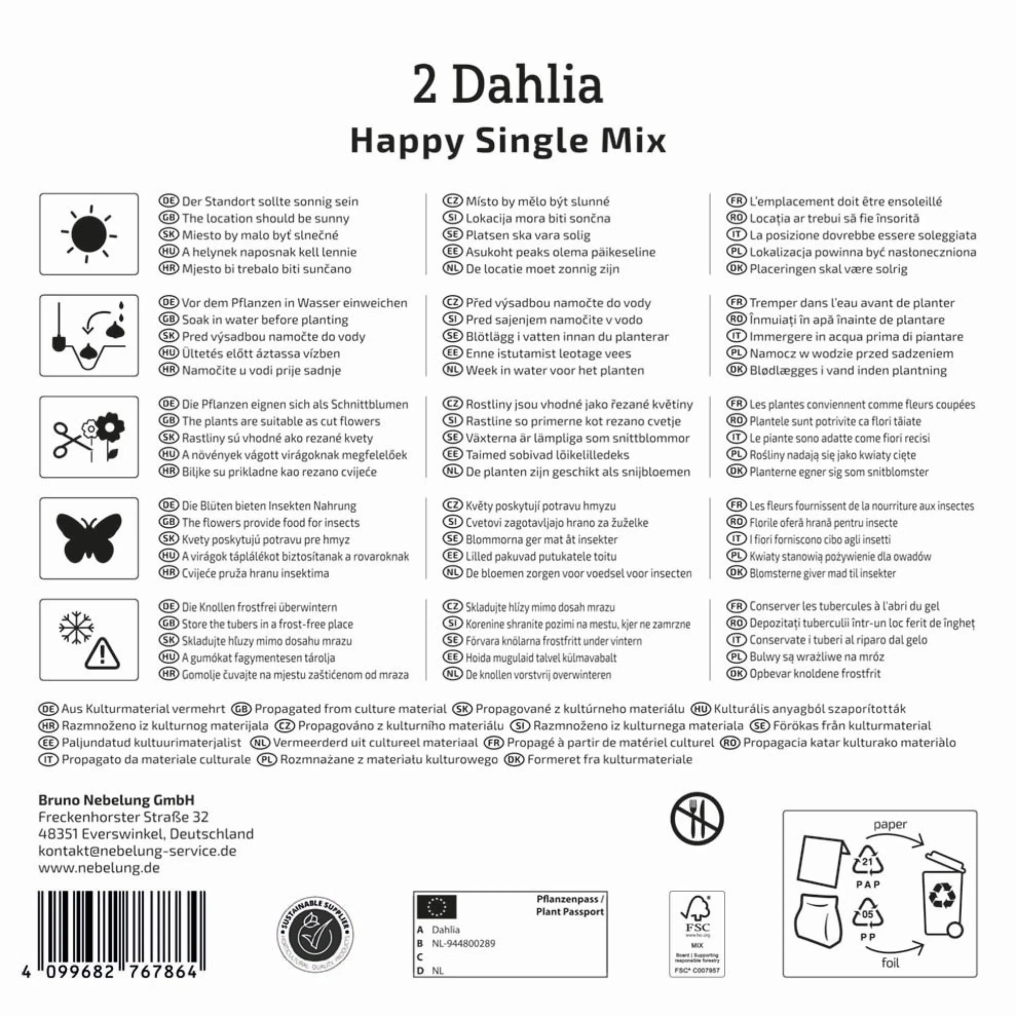 Kiepenkerl Mega-Pack Dunkellaubige Dahlien 'Happy Single Mix', 2 Zwiebeln - Image 2