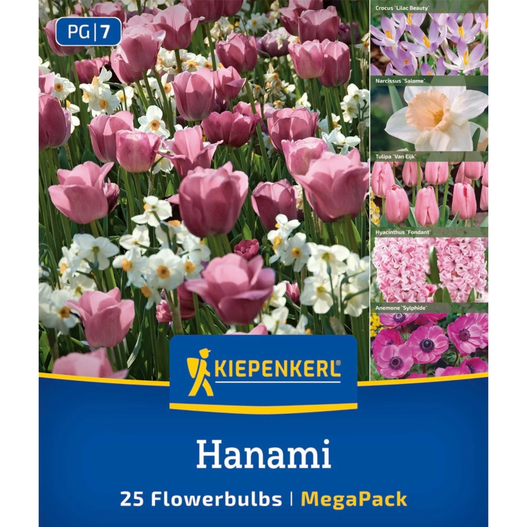 Kiepenkerl Mega Pack 'Rosy Dream', 25 Zwiebeln
