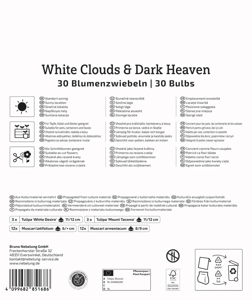 Kiepenkerl Mega Pack 'White Clouds & Dark Heaven', 30 Zwiebeln - Image 2