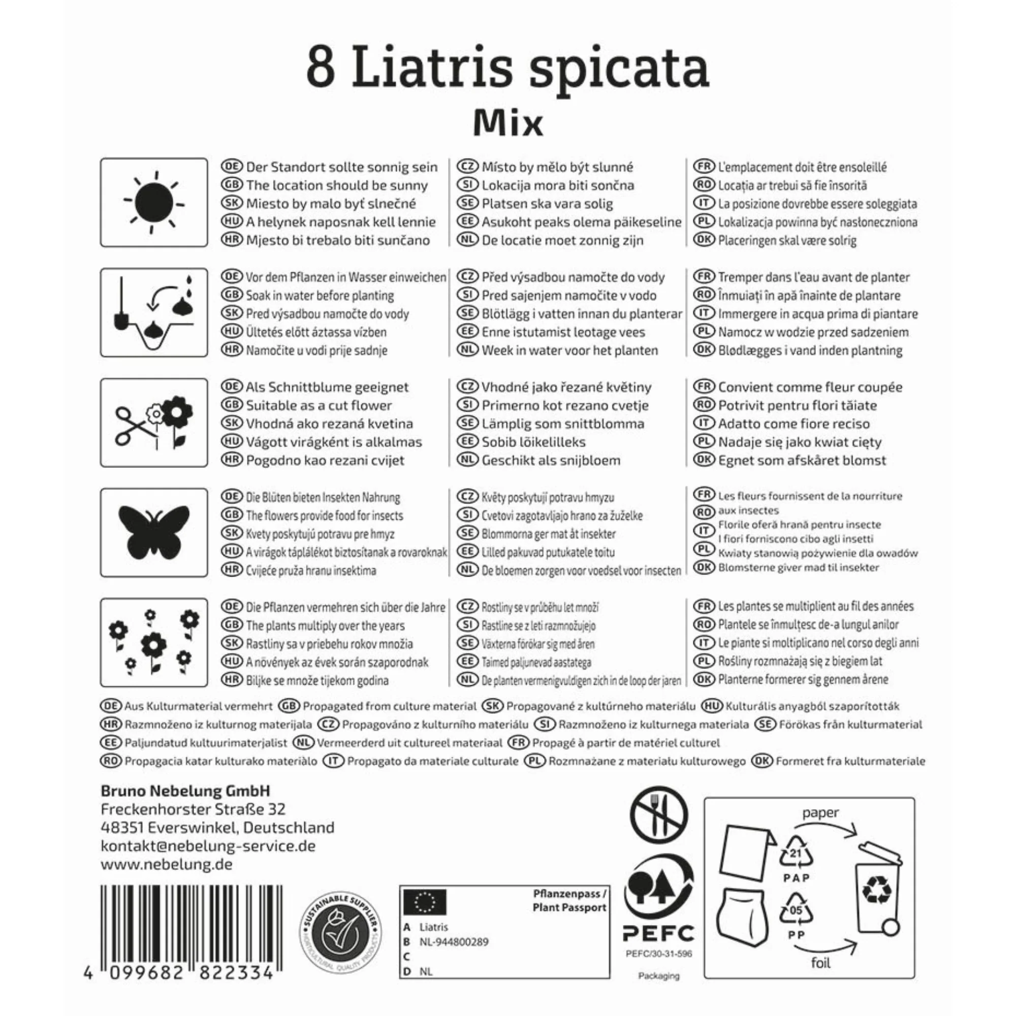 Kiepenkerl Prachtscharte Blau & Weiß, 8 Zwiebeln - Image 2