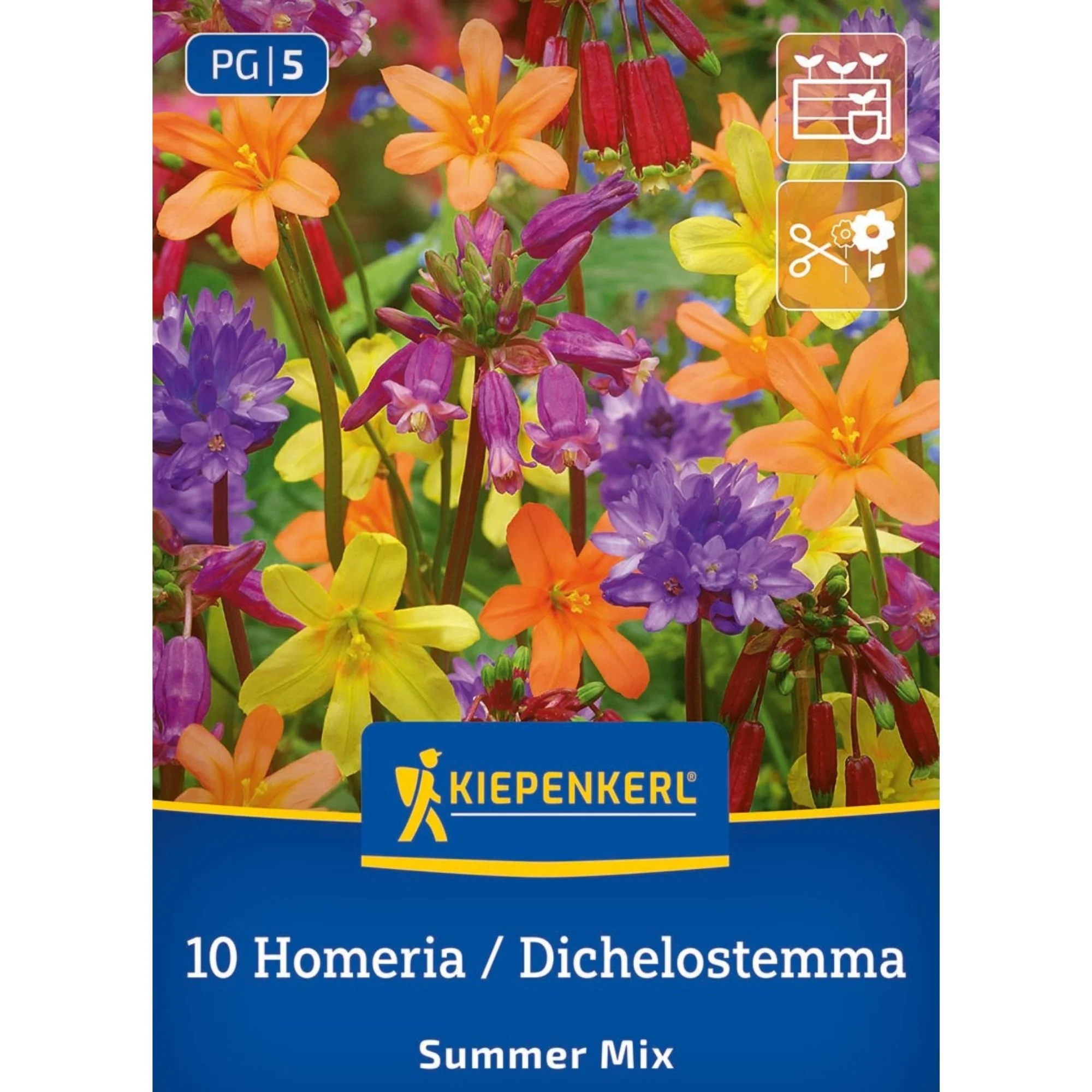 Kiepenkerl 'Summer Mix', 10 Zwiebeln