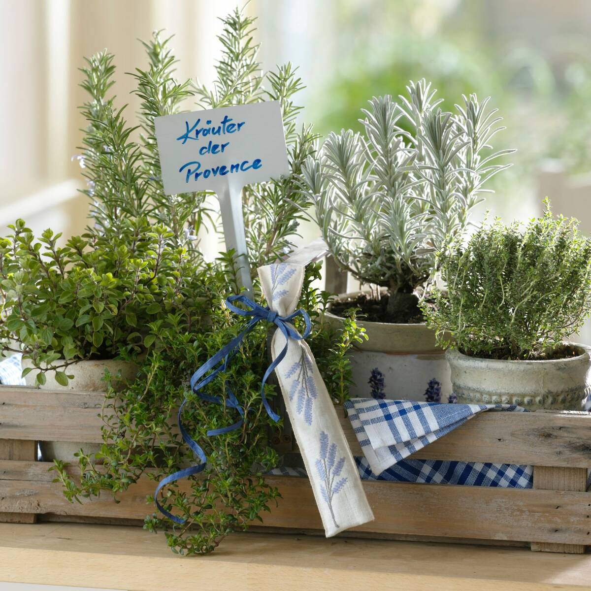 Küchenkräuter "Kräuter der Provence"