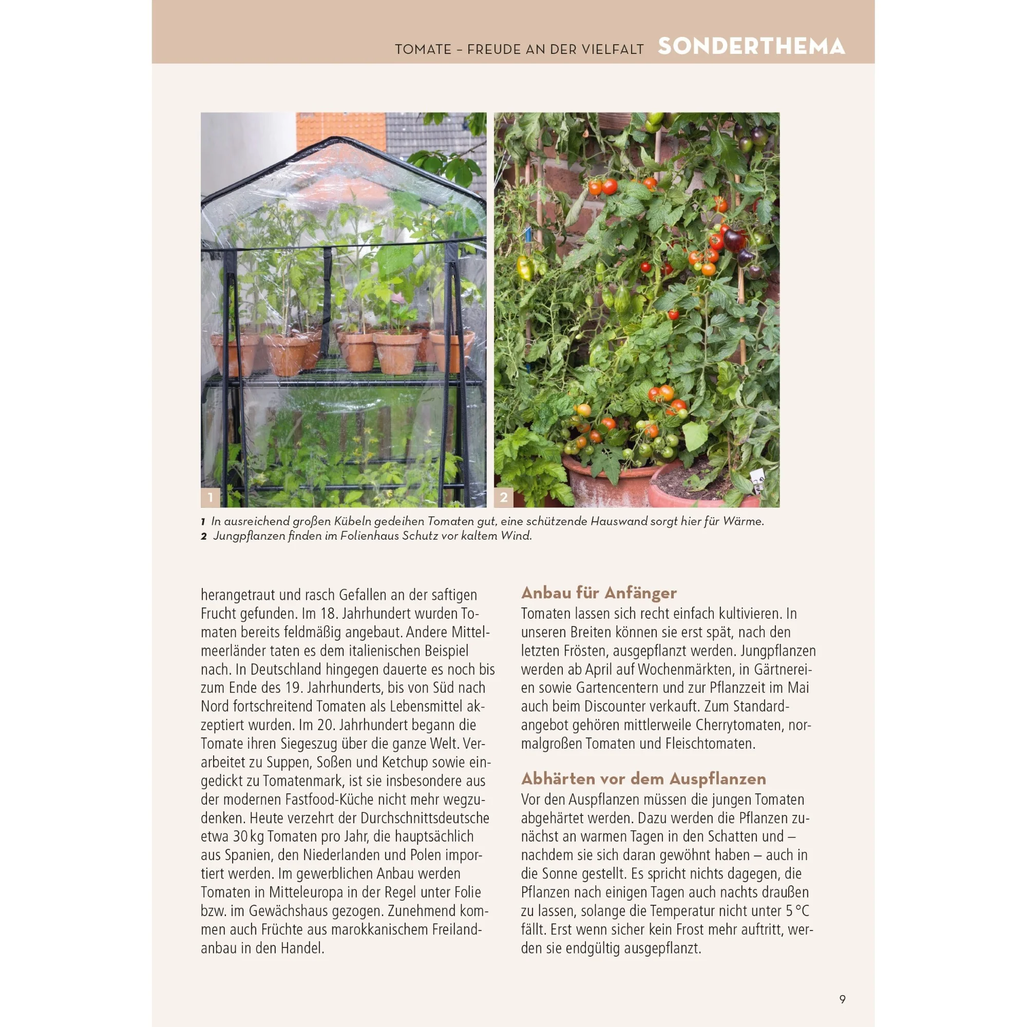 Mein schöner Garten Praxis-Kalender 2026 - Image 10
