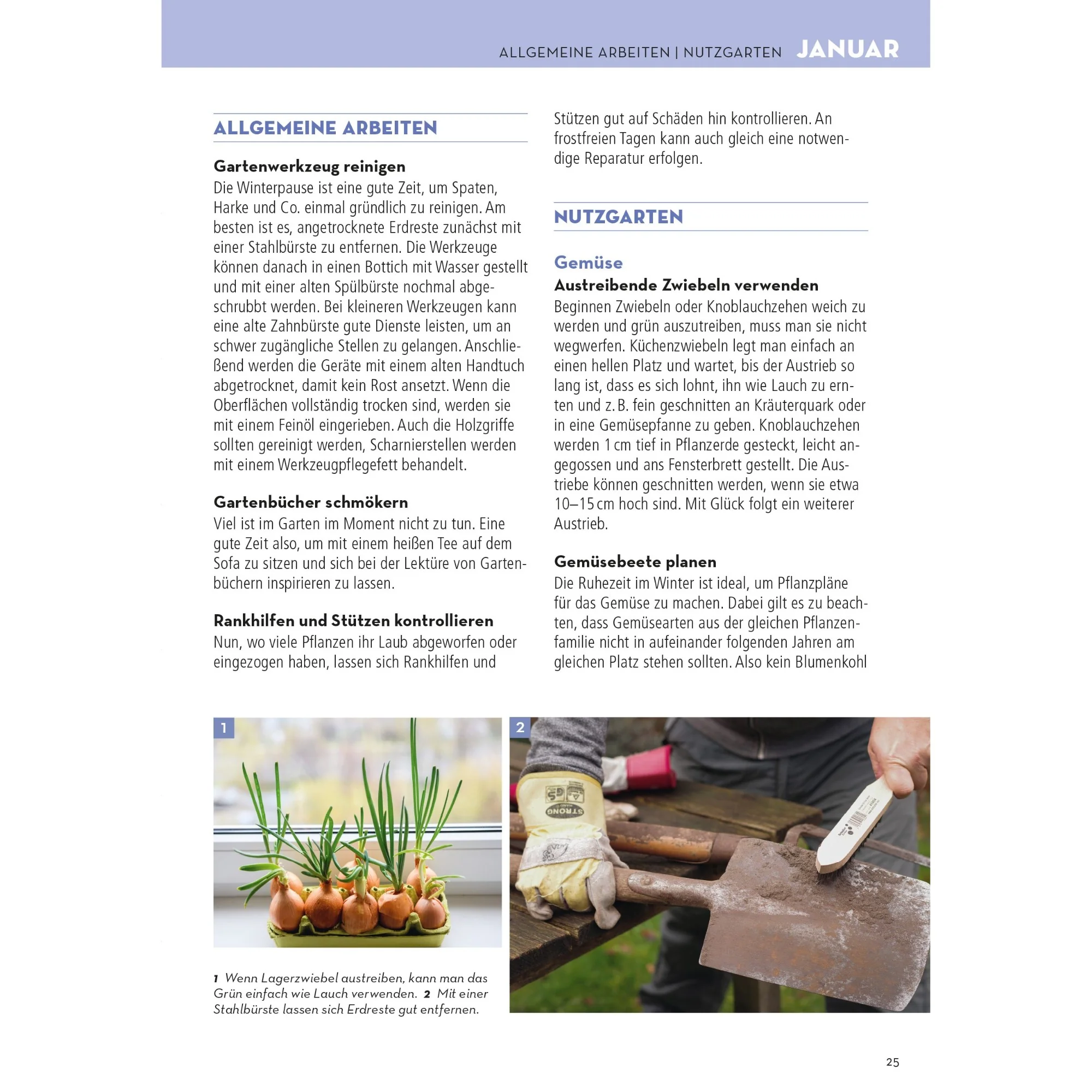 Mein schöner Garten Praxis-Kalender 2026 - Image 11