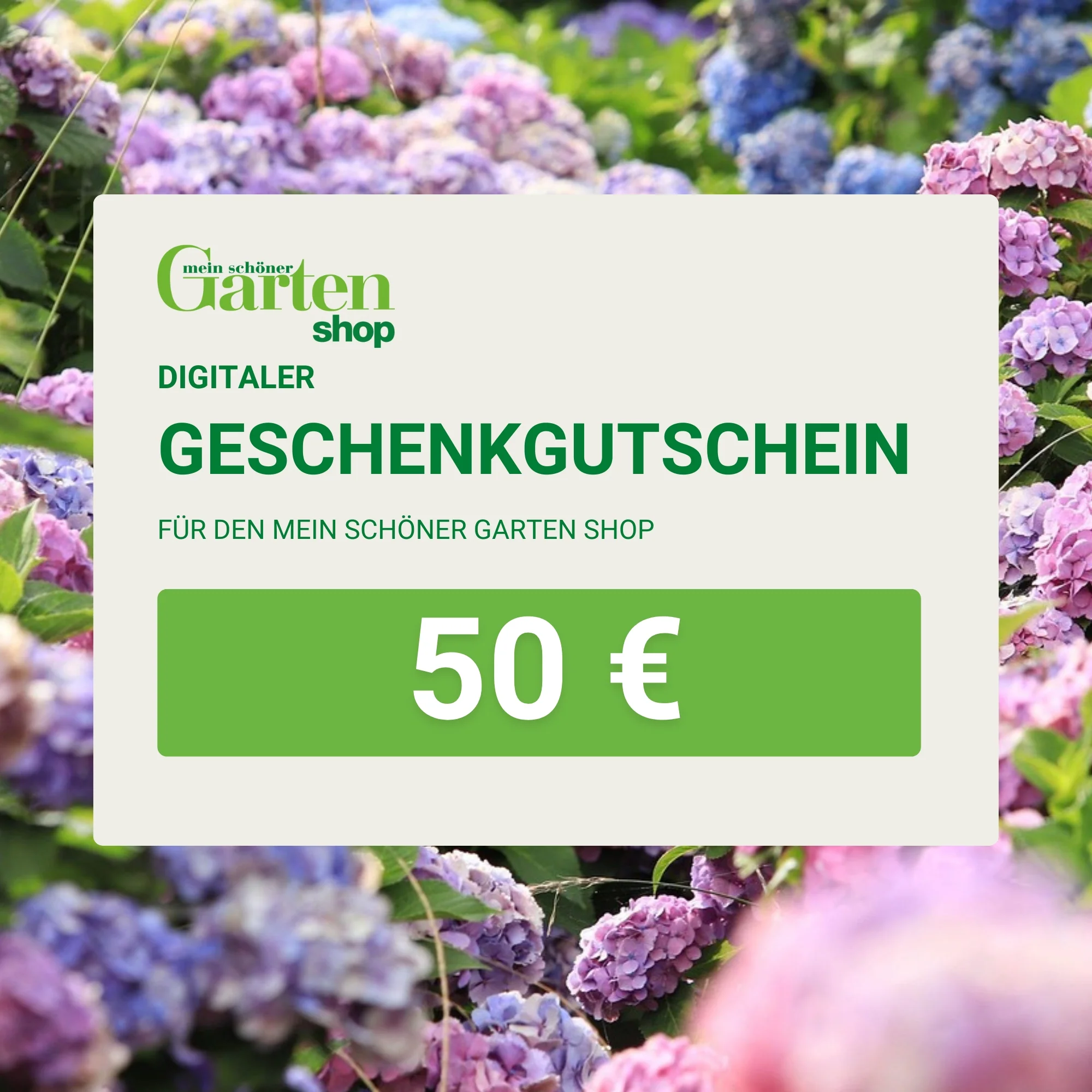 Mein schöner Garten Shop-Gutschein - Image 4