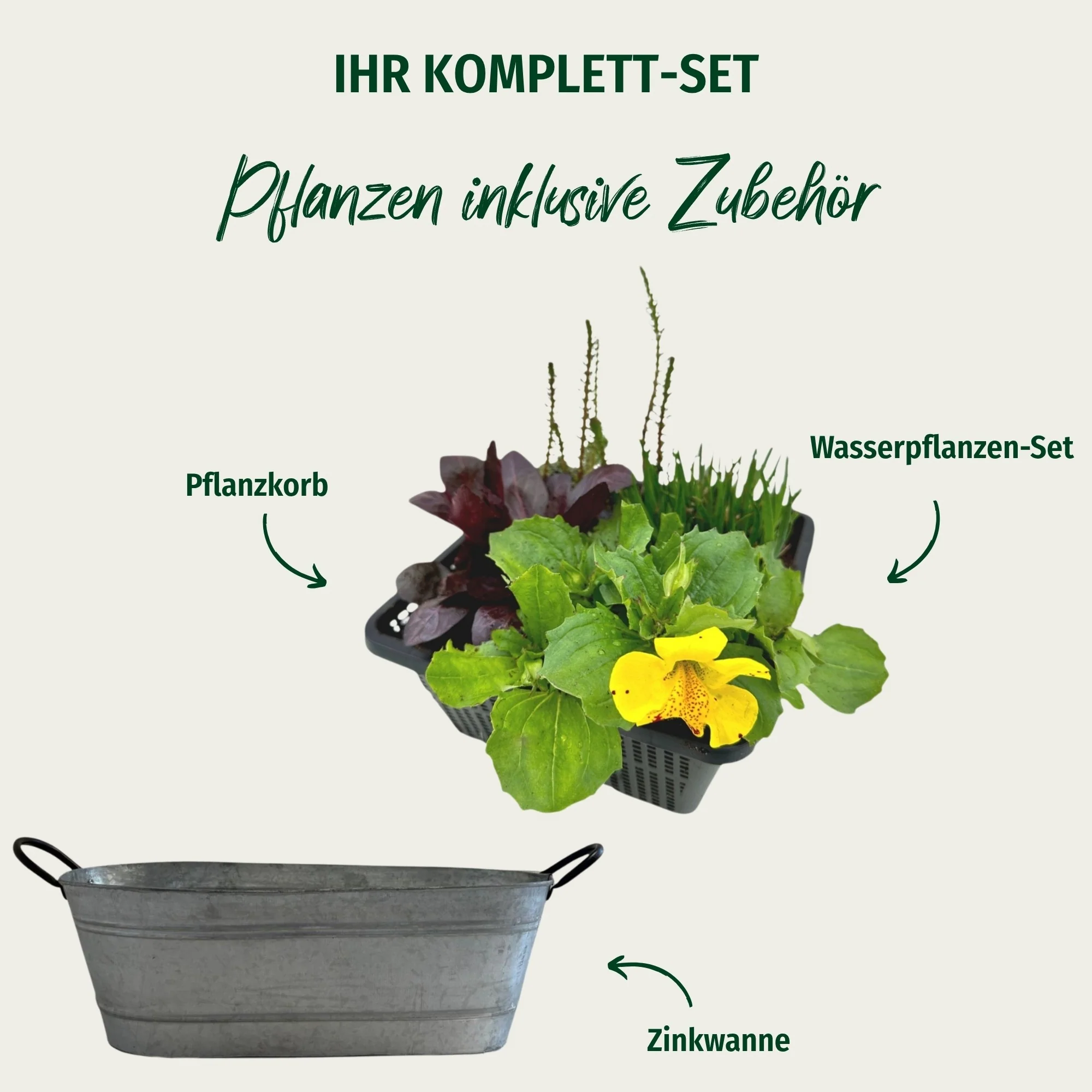 Miniteich in ovaler Zinkwanne "Starter Set" - Image 2